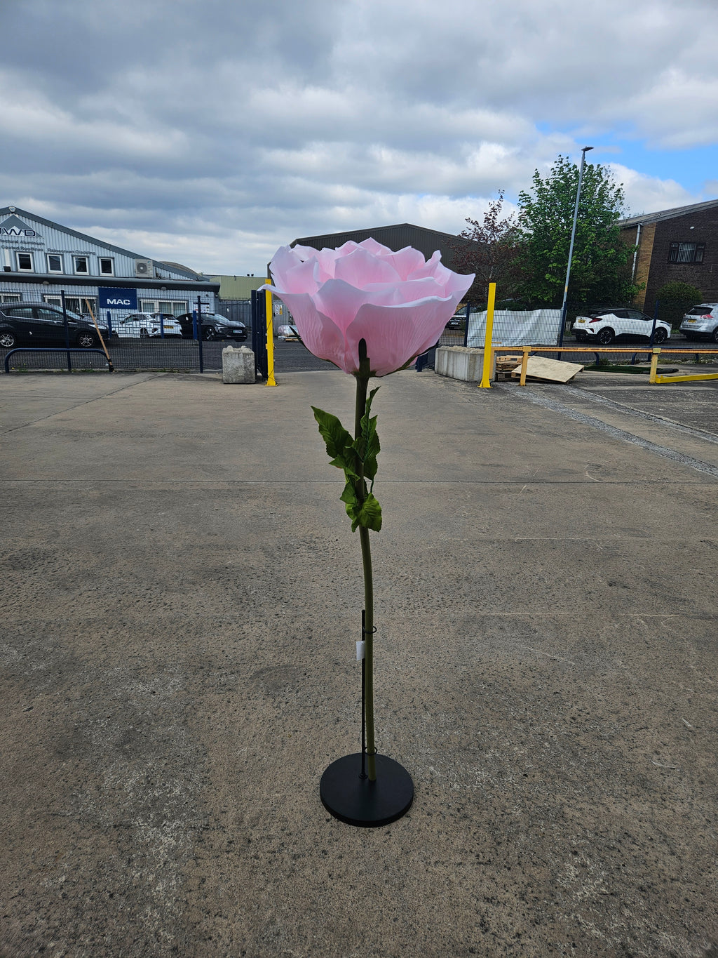 Giant XL Pink Rose (Stand Not Included)