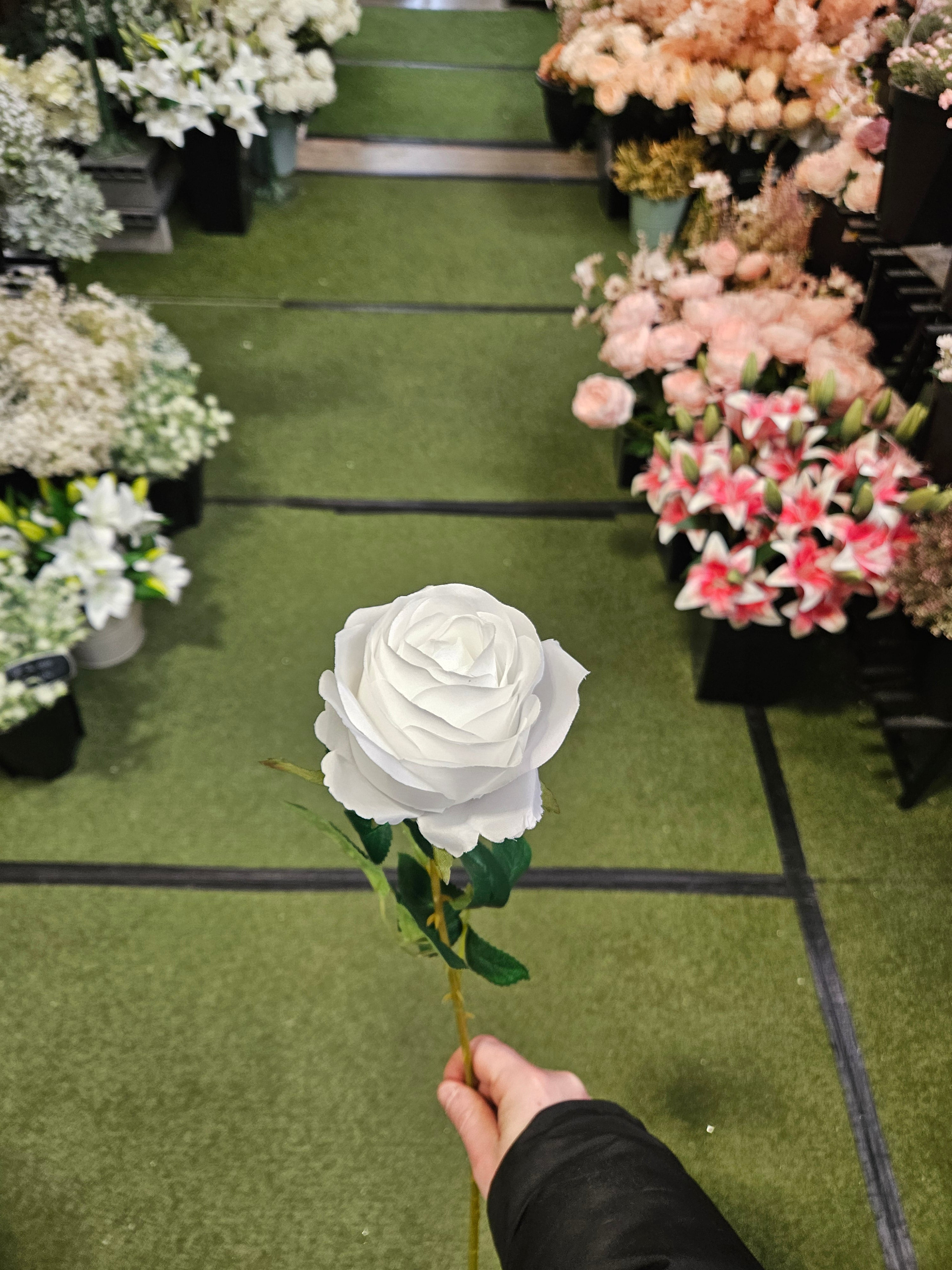 Box of 48 Harper Roses (White)
