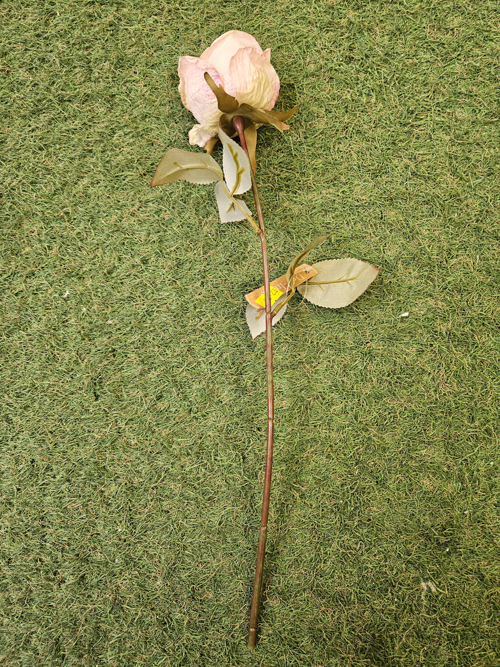 Dry Touch Dusty Pink Rose