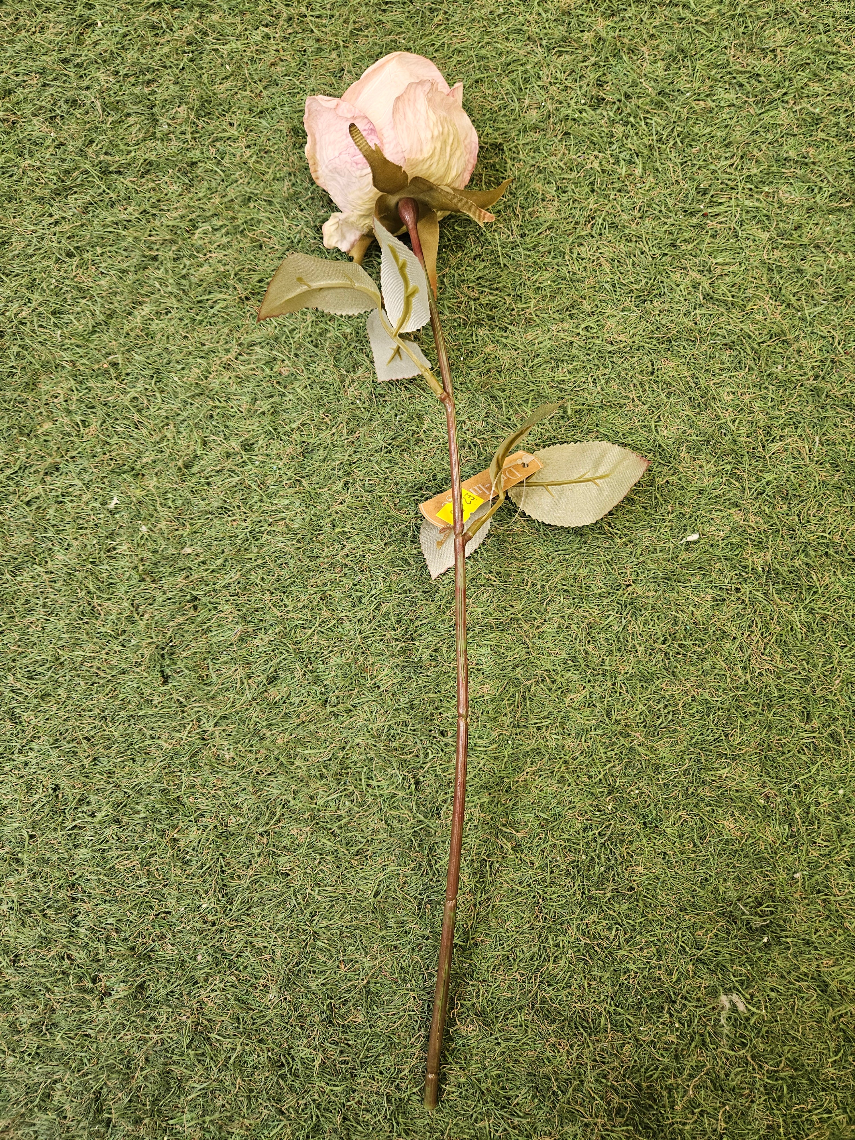 Dry Touch Dusty Pink Rose