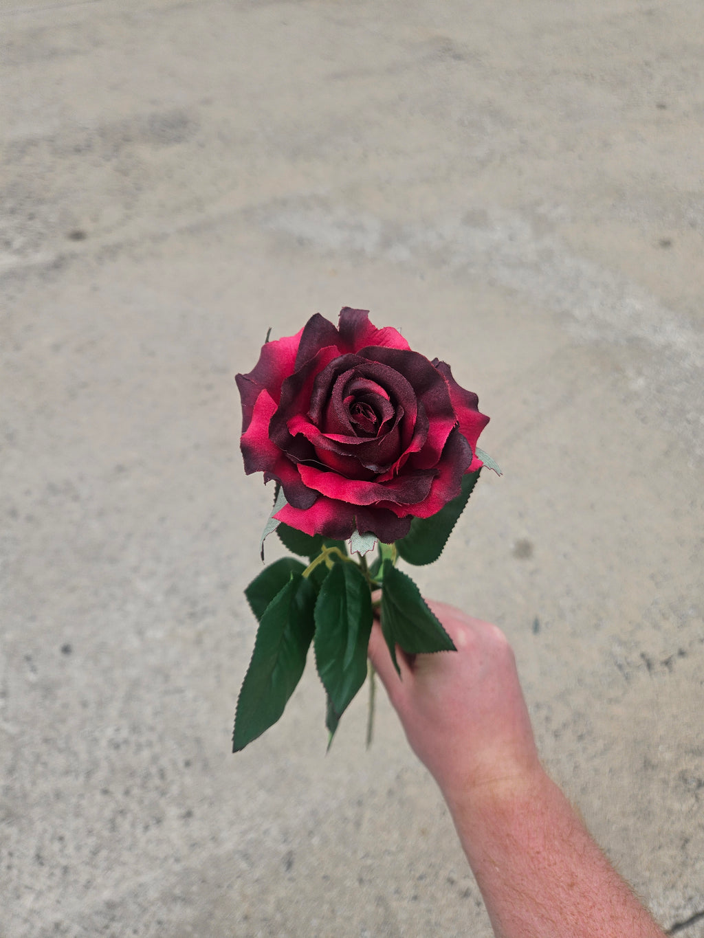 Thin Stem Burgundy Rose