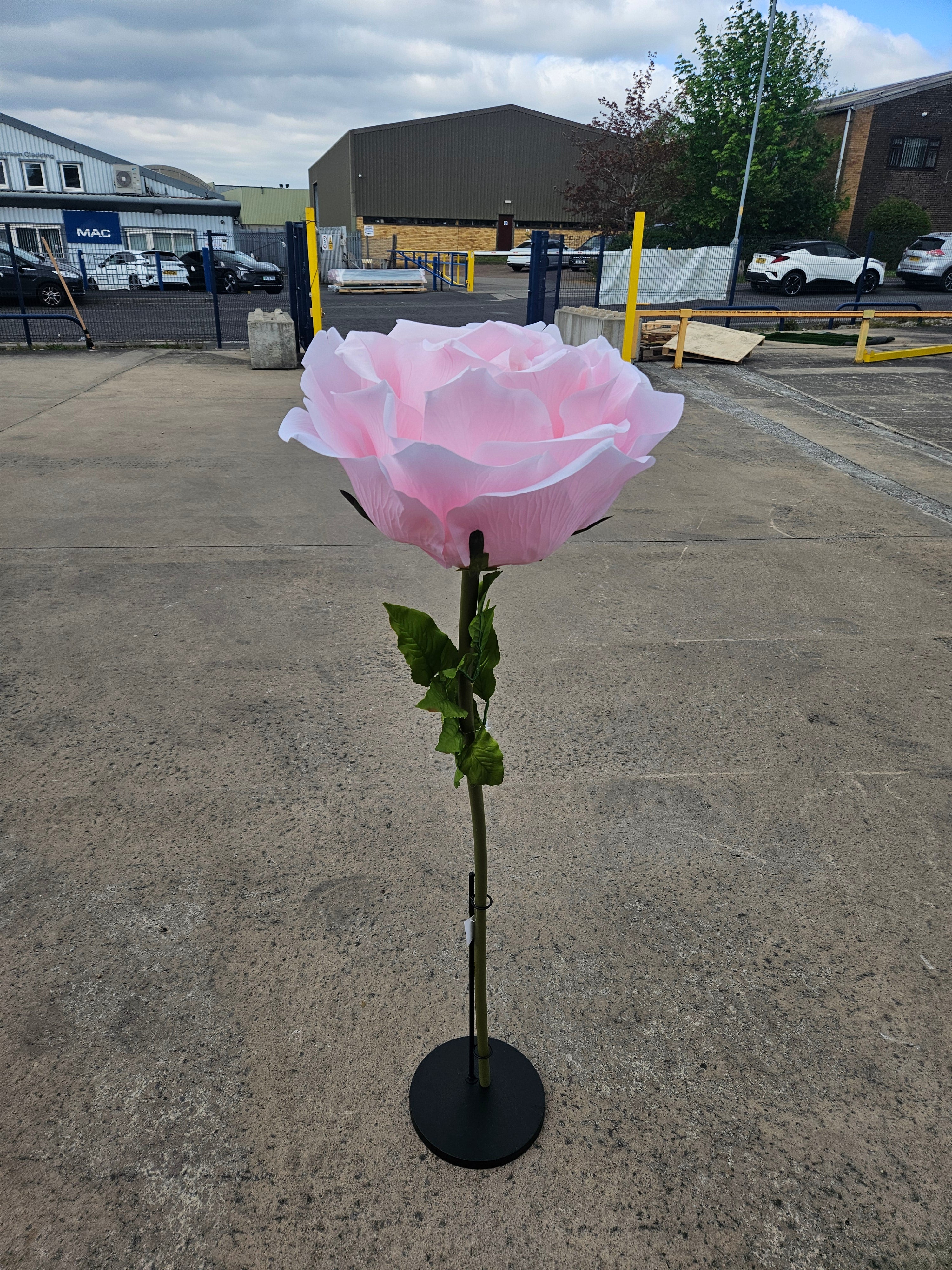 Giant XL Pink Rose (Stand Not Included)