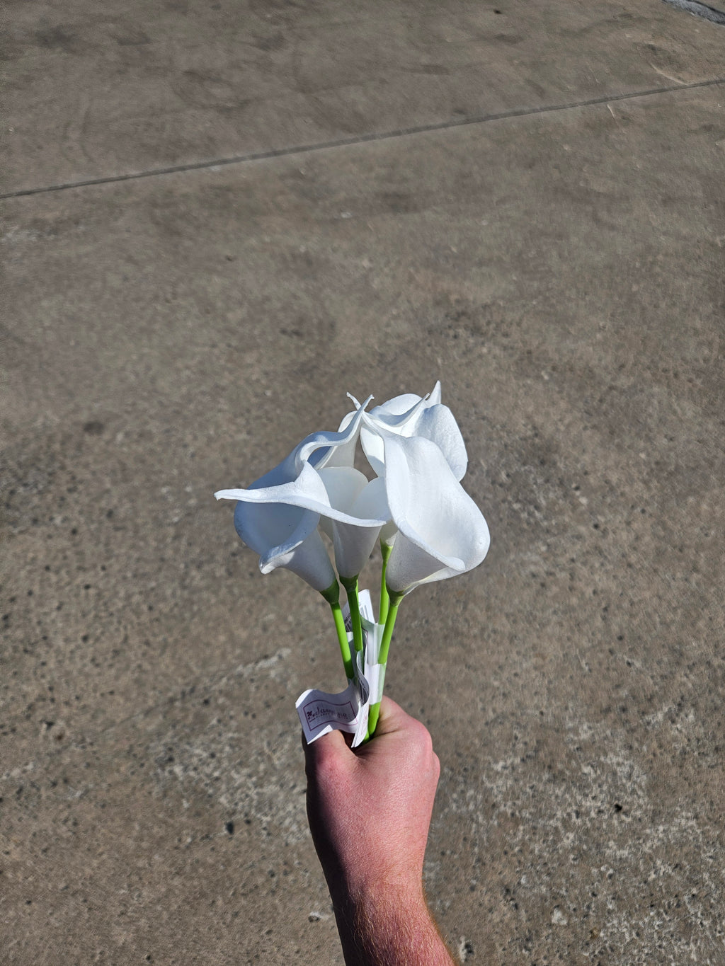 Foam Calla Lily Bunch (5 Stems)