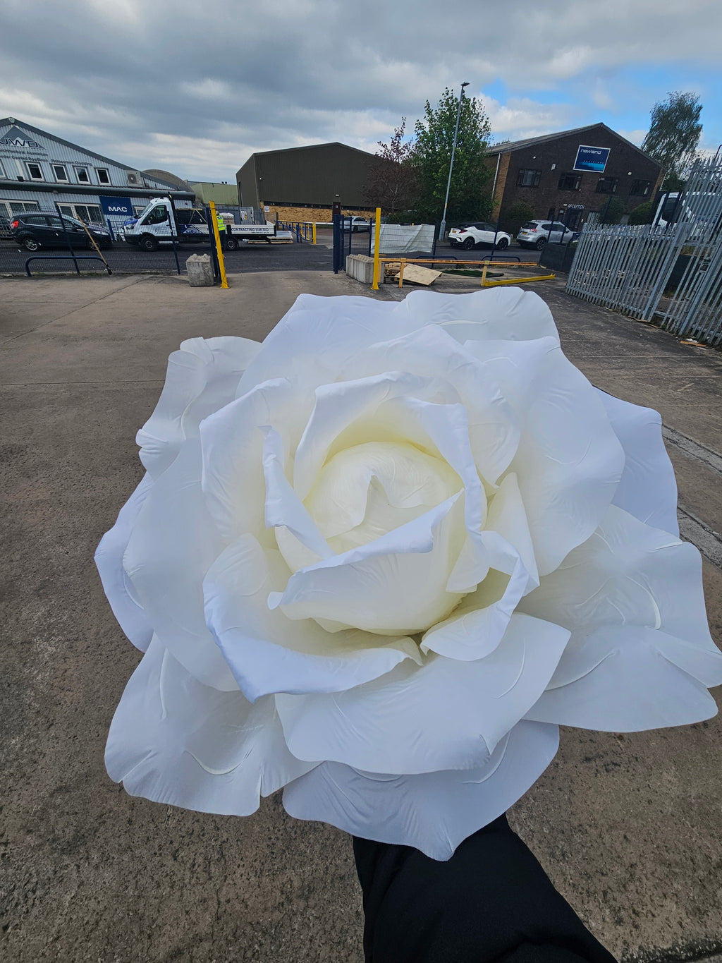 Giant XXL Ivory Rose (Stand Not Included)