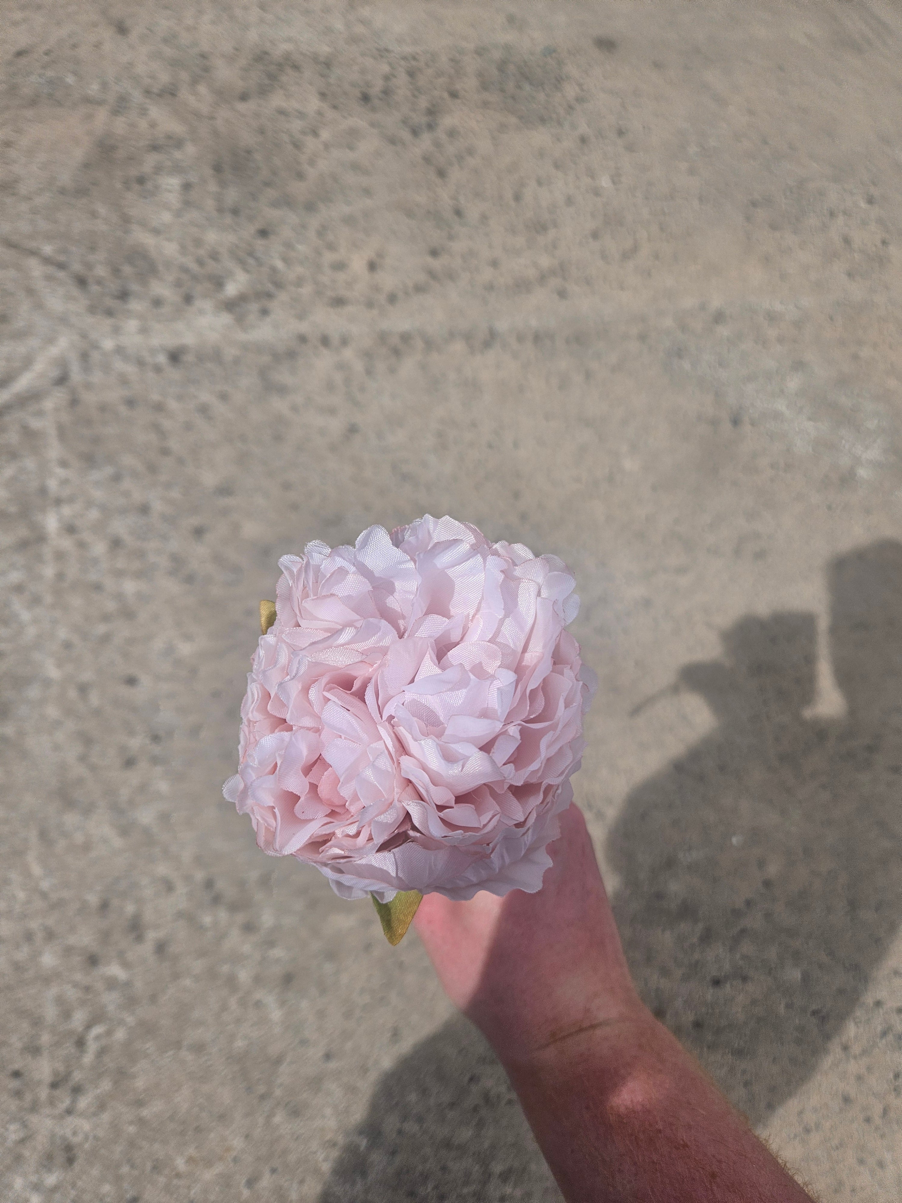 Short Stem Peach Peony