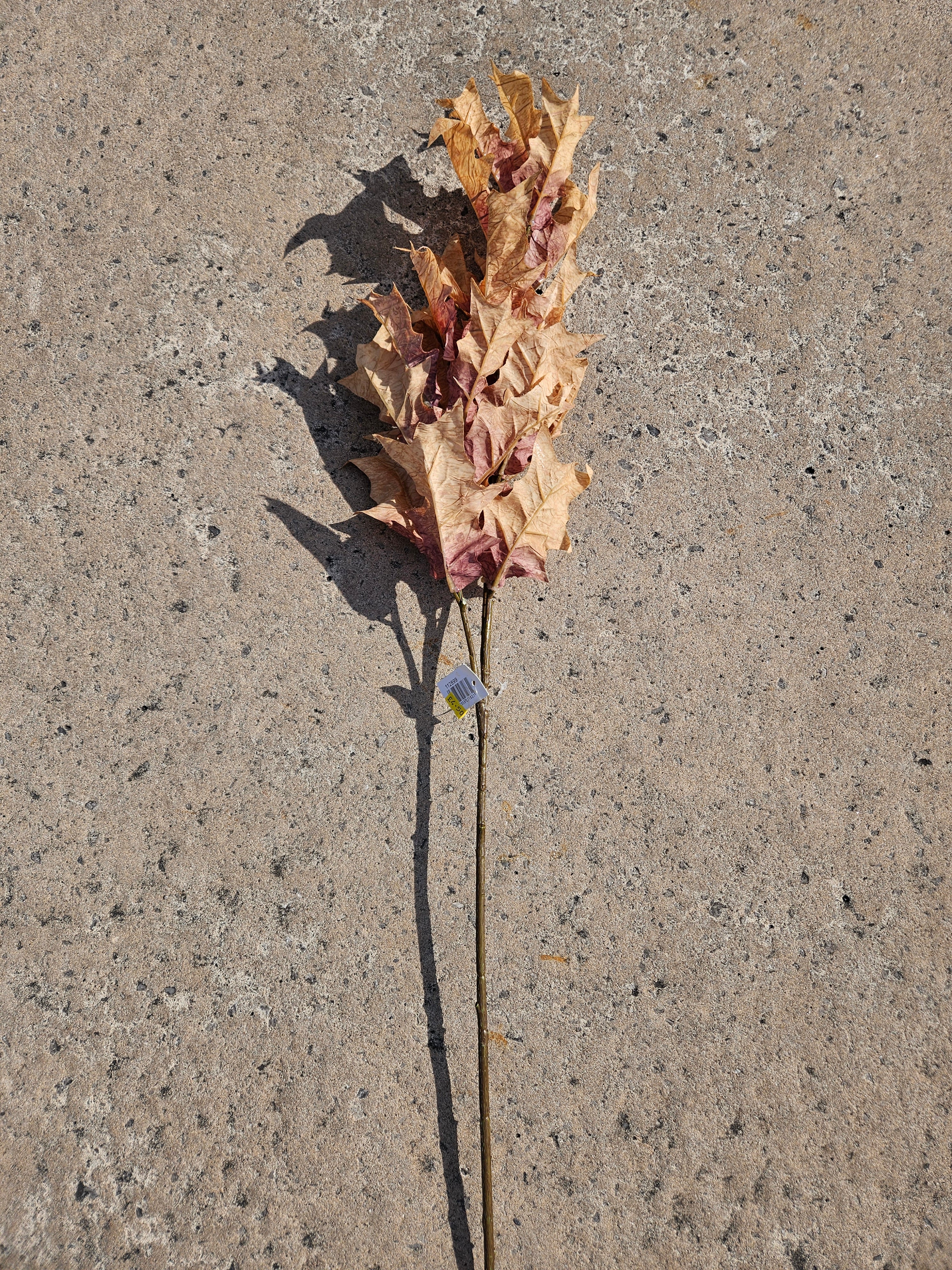 Long Stem Burnt Orange Oak Leaf Branch