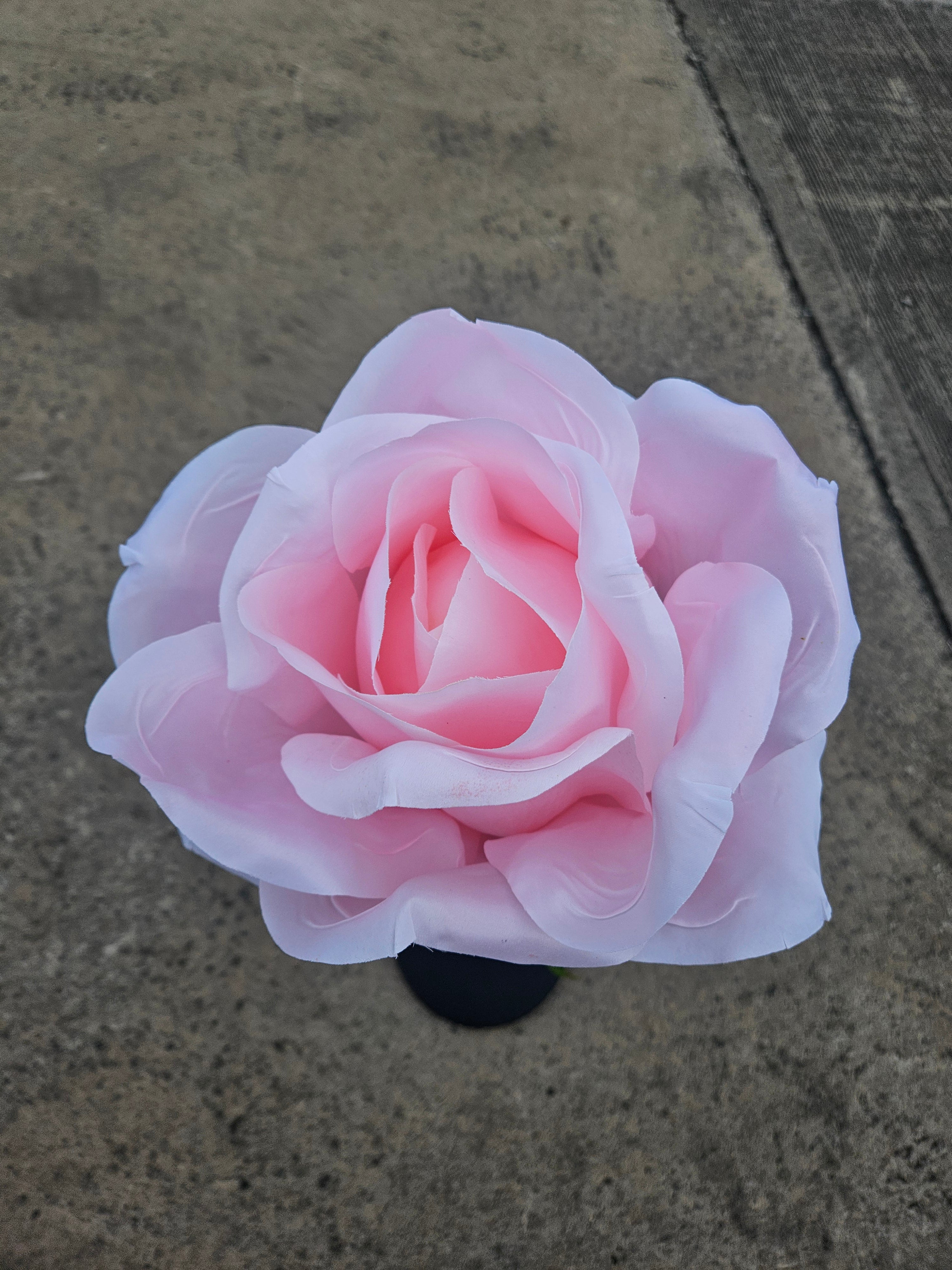 Giant Large Pink Rose (Stand Not Included)