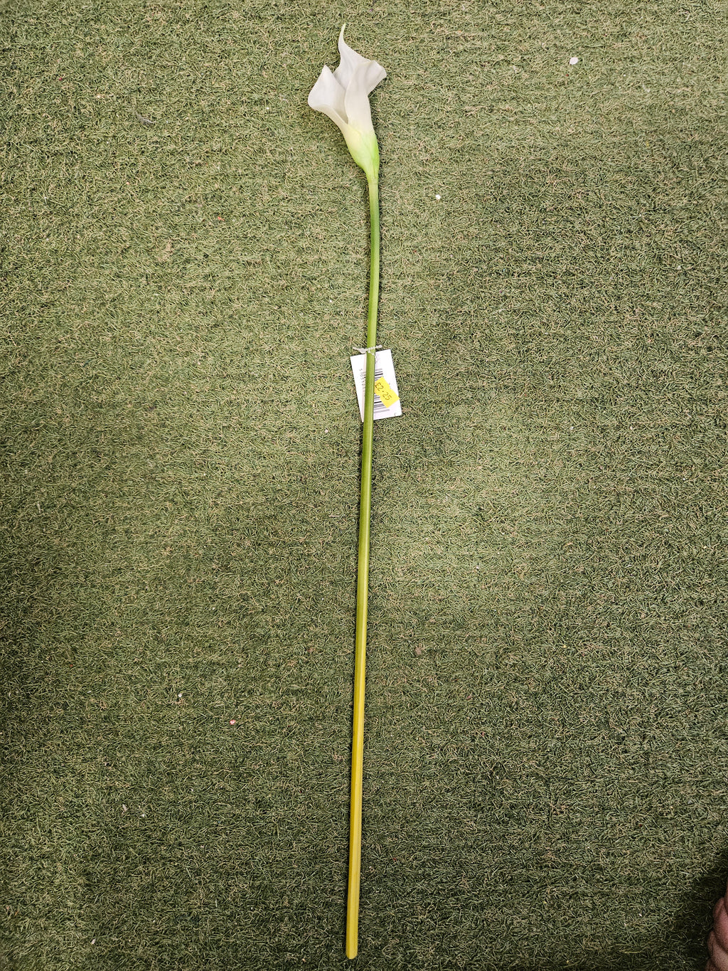 Real Feel Thin Stem Calla Lily