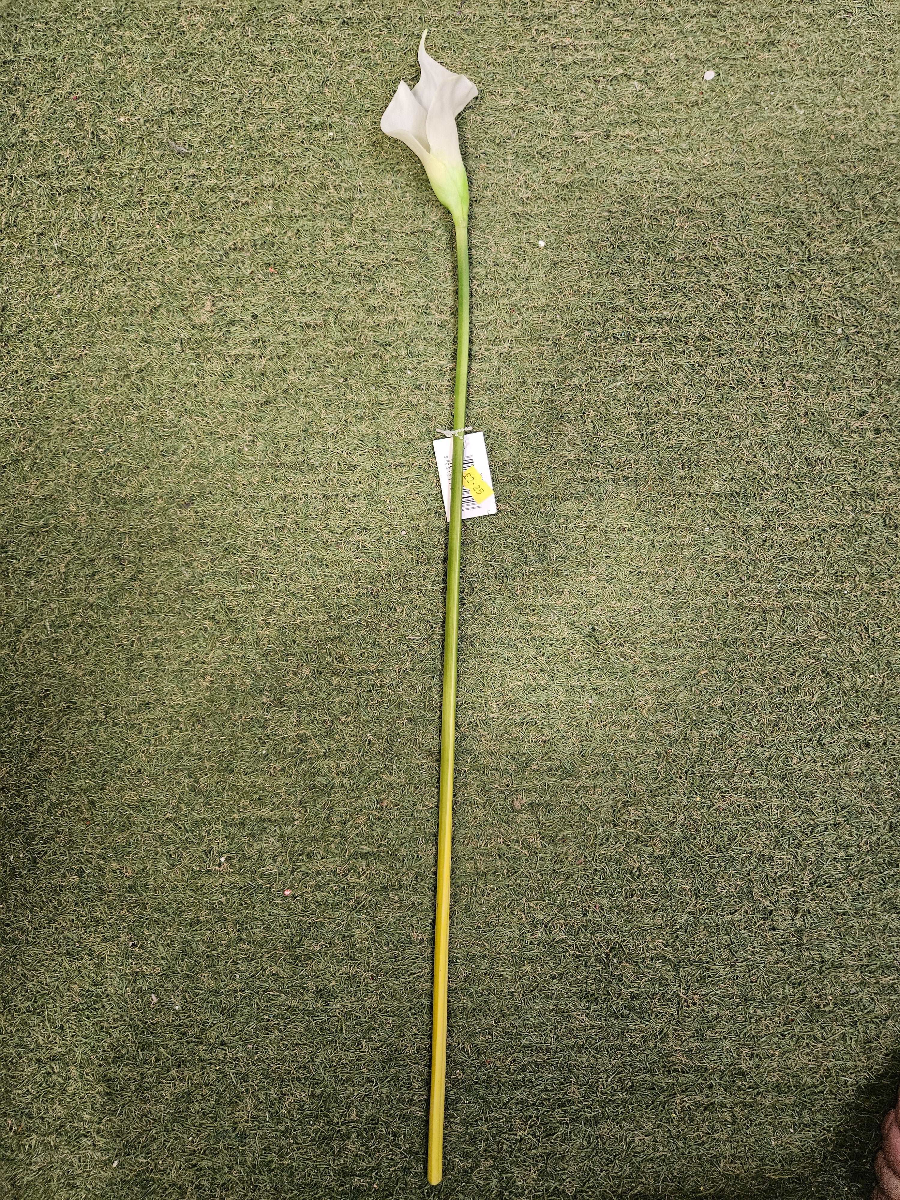 Real Feel Thin Stem Calla Lily