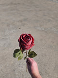 Burgundy Dry Touch Rose