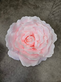 Giant Baby Pink Rose Head