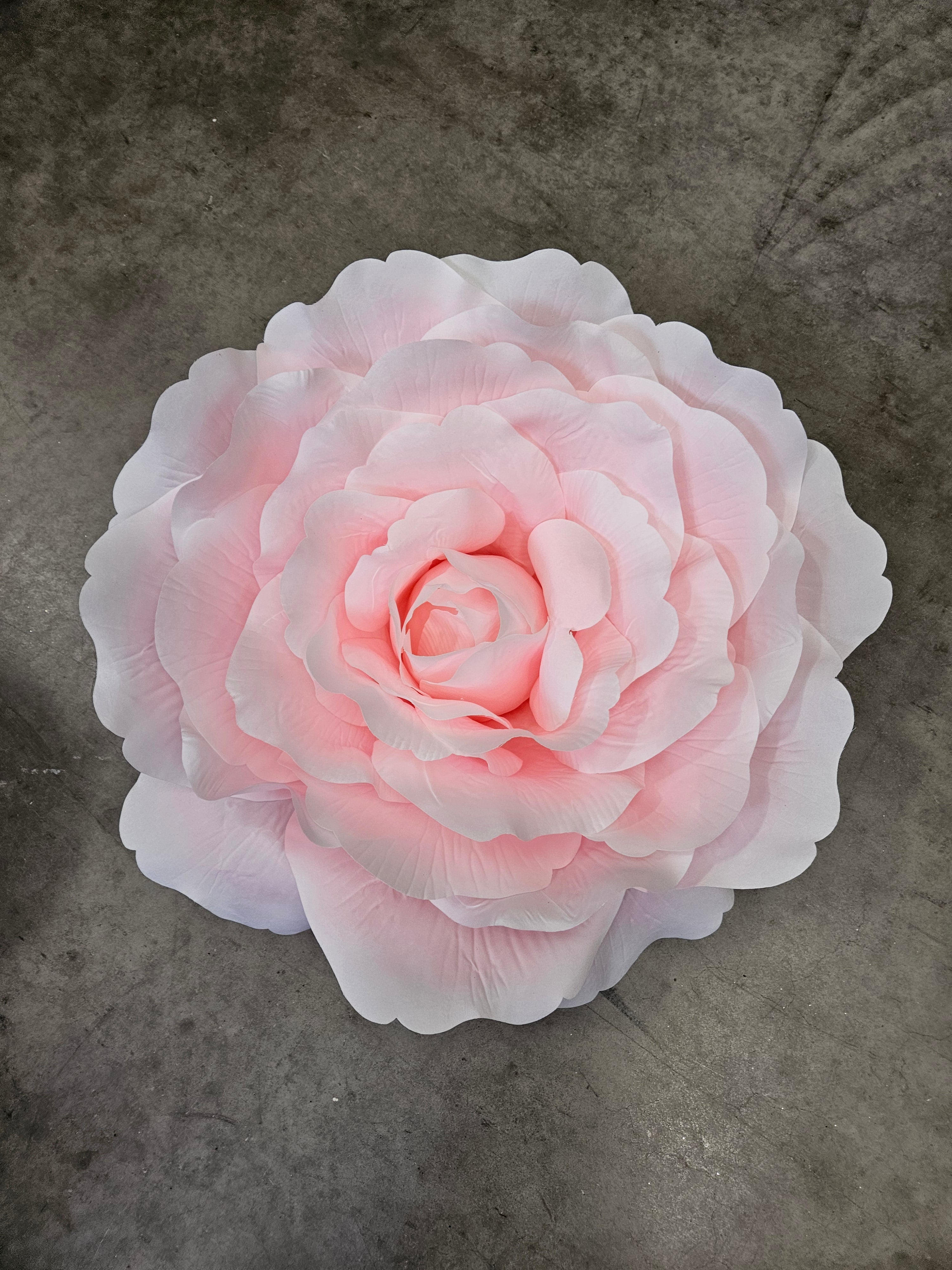 Giant Baby Pink Rose Head