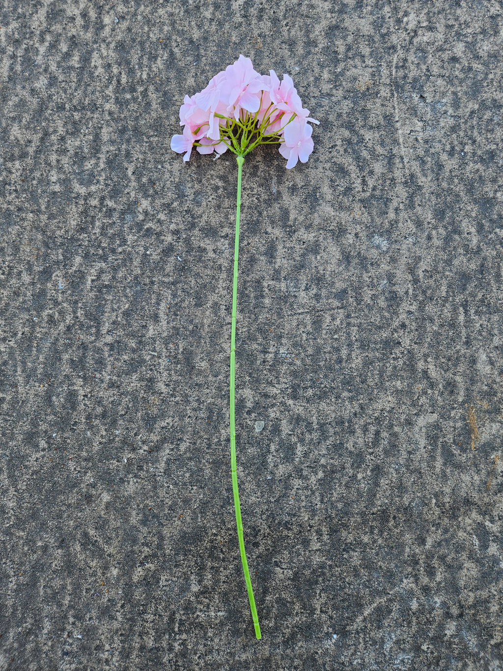 Long Stem Slim Hydrangea (Pink)
