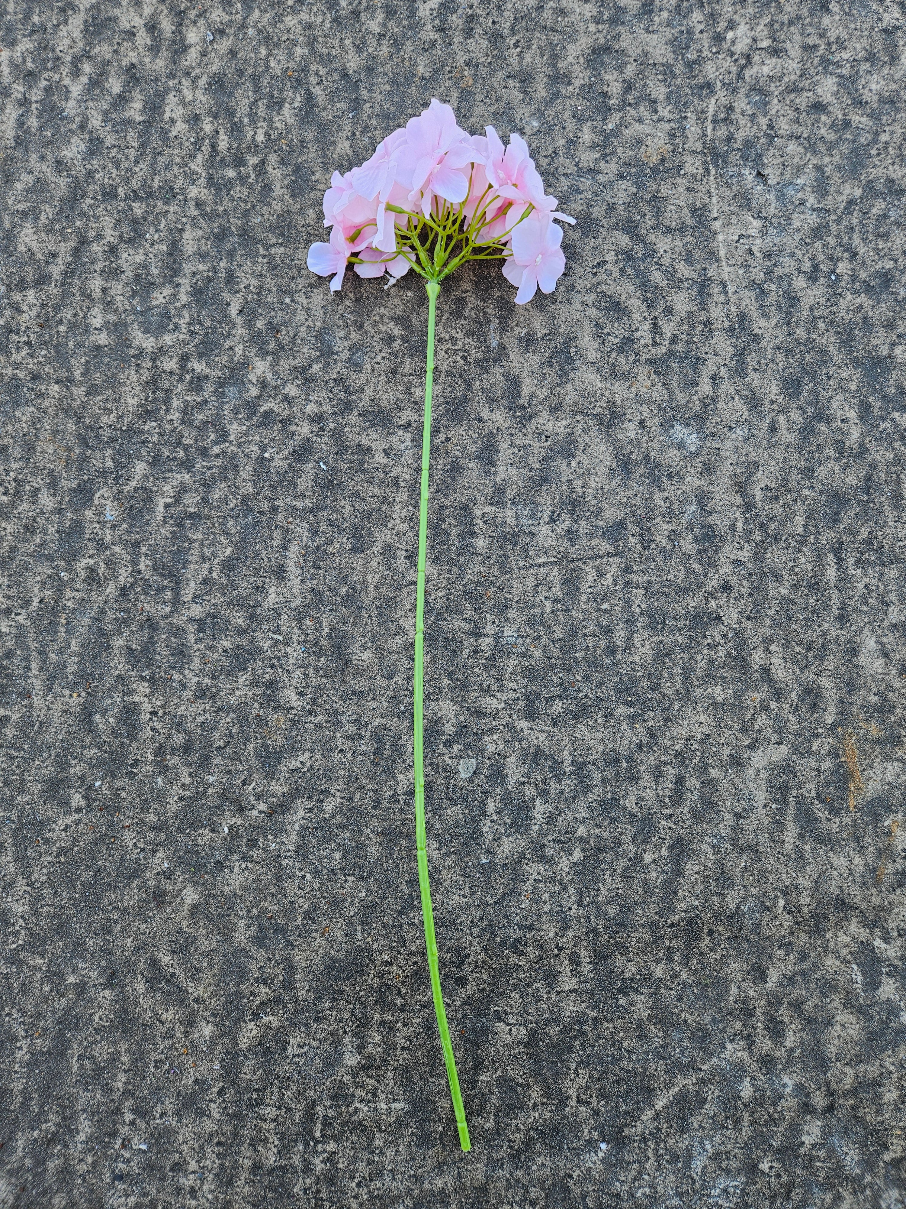 Long Stem Slim Hydrangea (Pink)