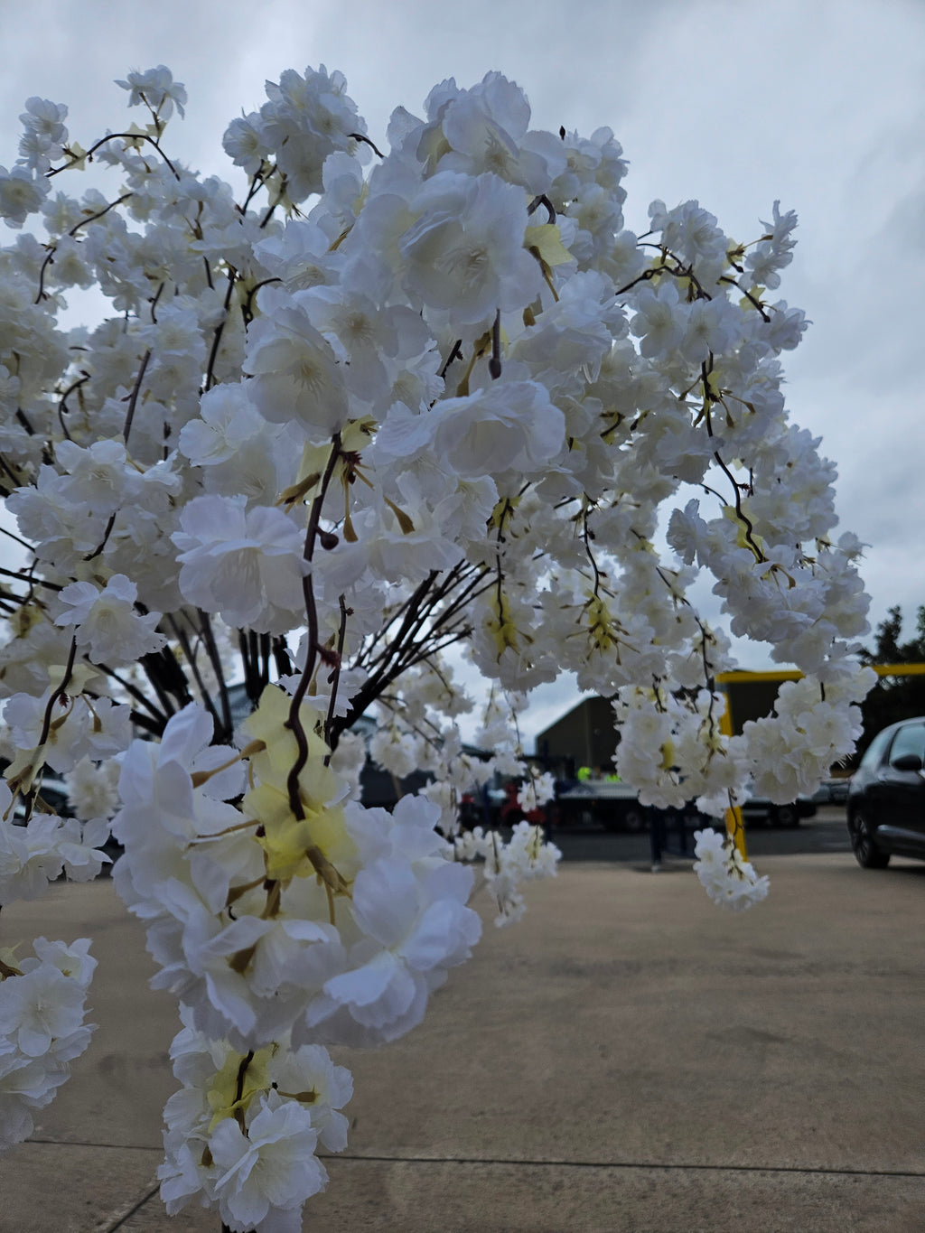 Ivory Tabletop Blossom Tree