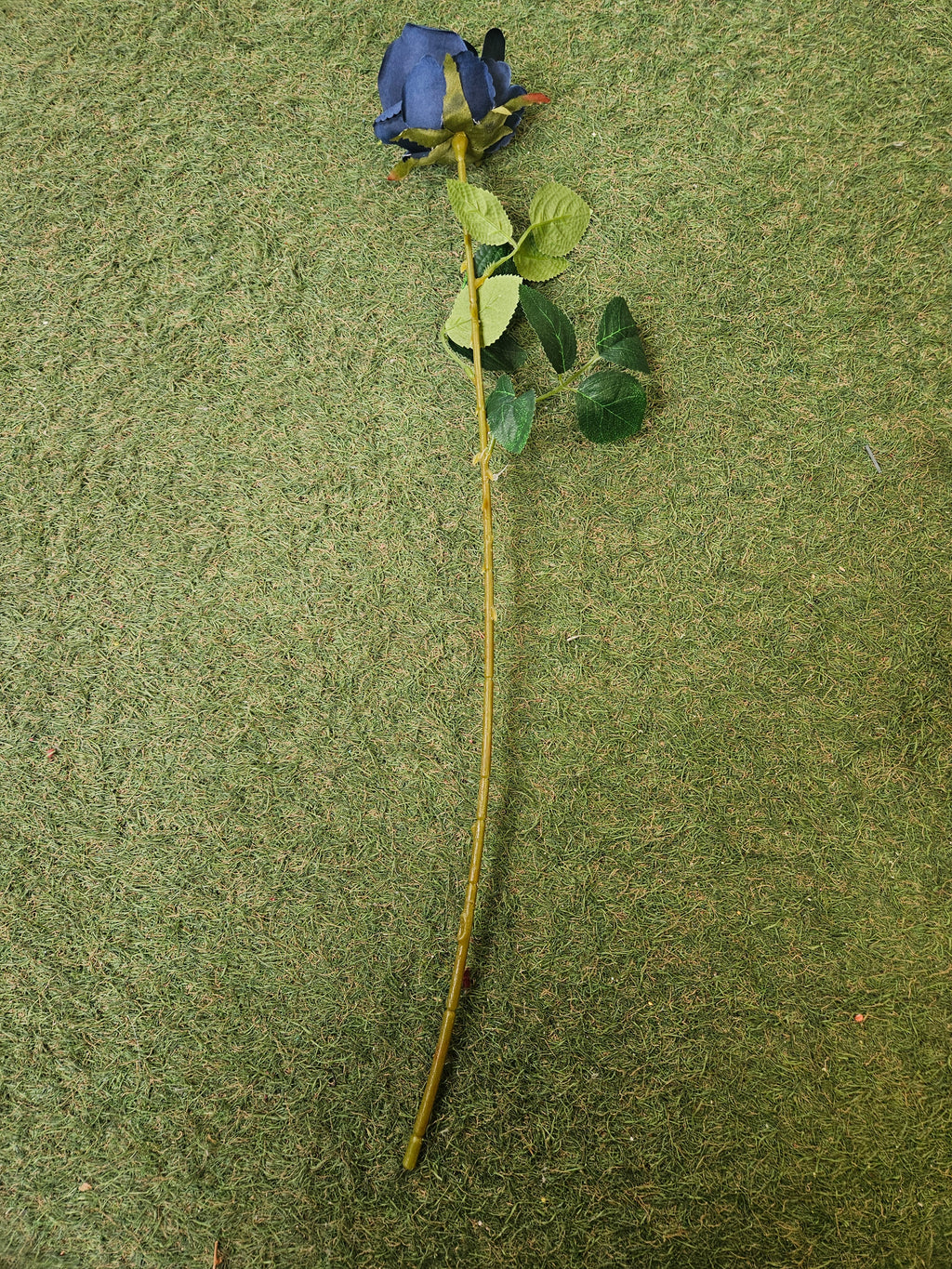 Navy Harper Rose