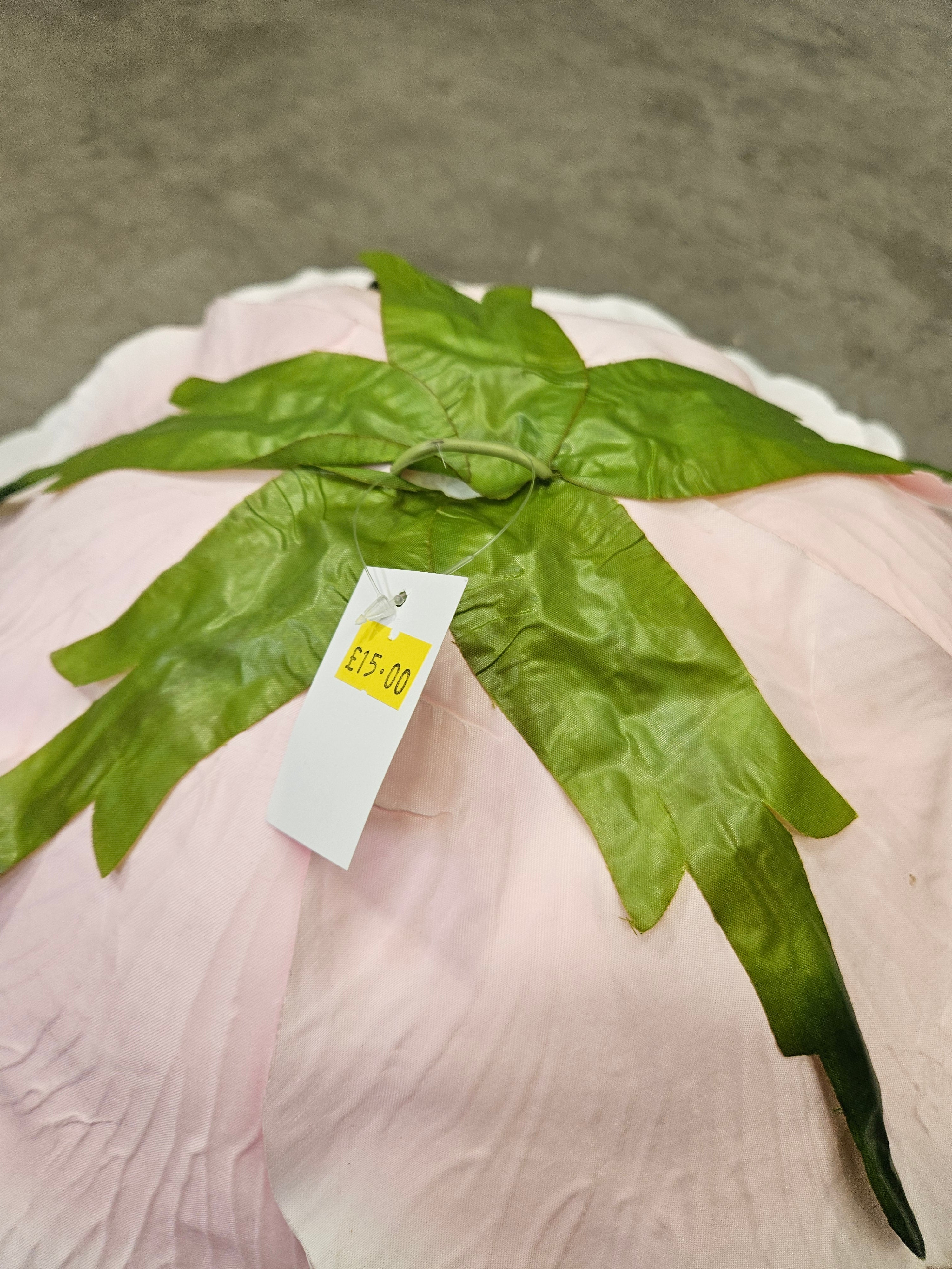 Giant Baby Pink Rose Head