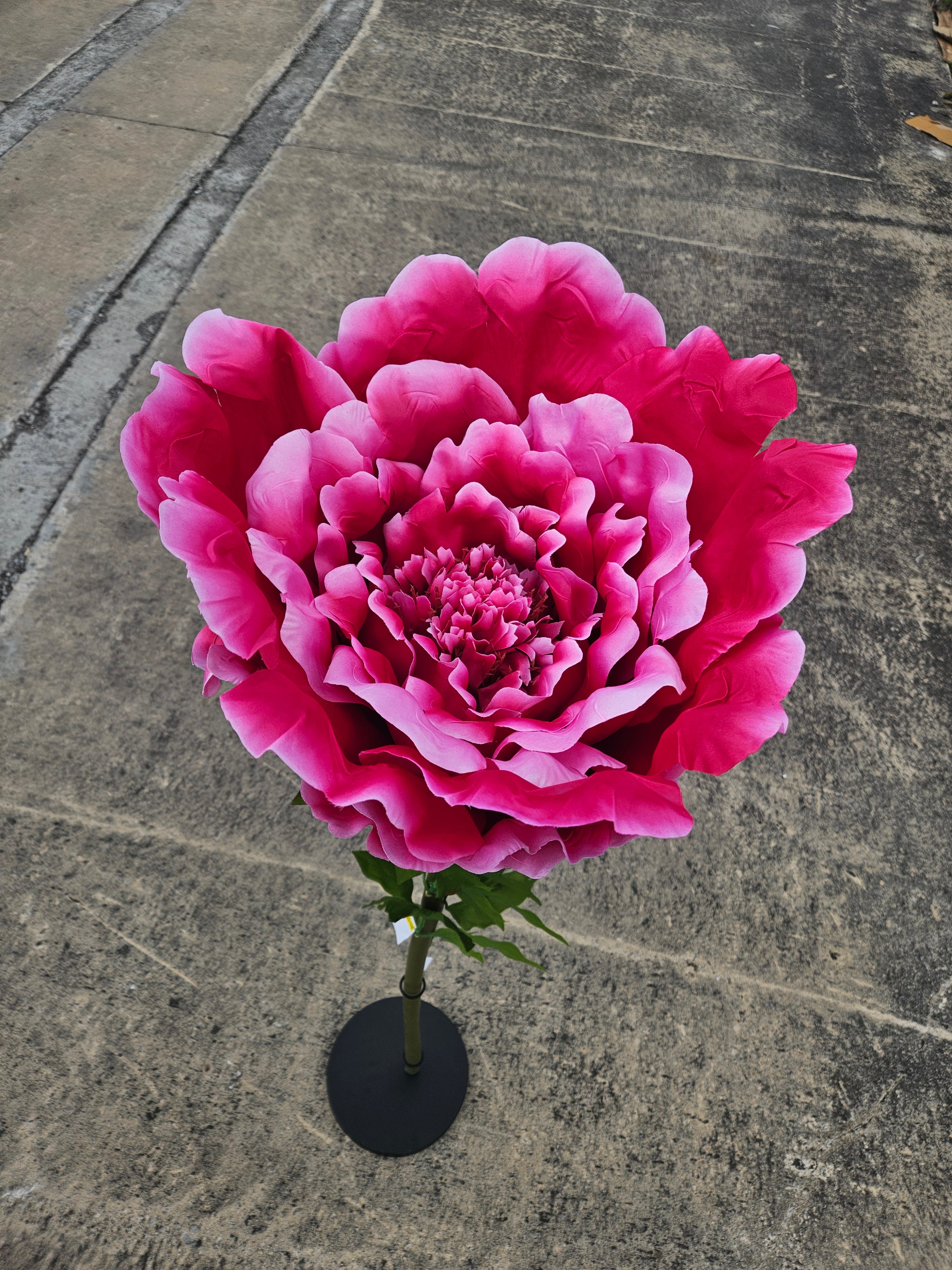 Giant XL Hot Pink Peony (Stand Not Included)