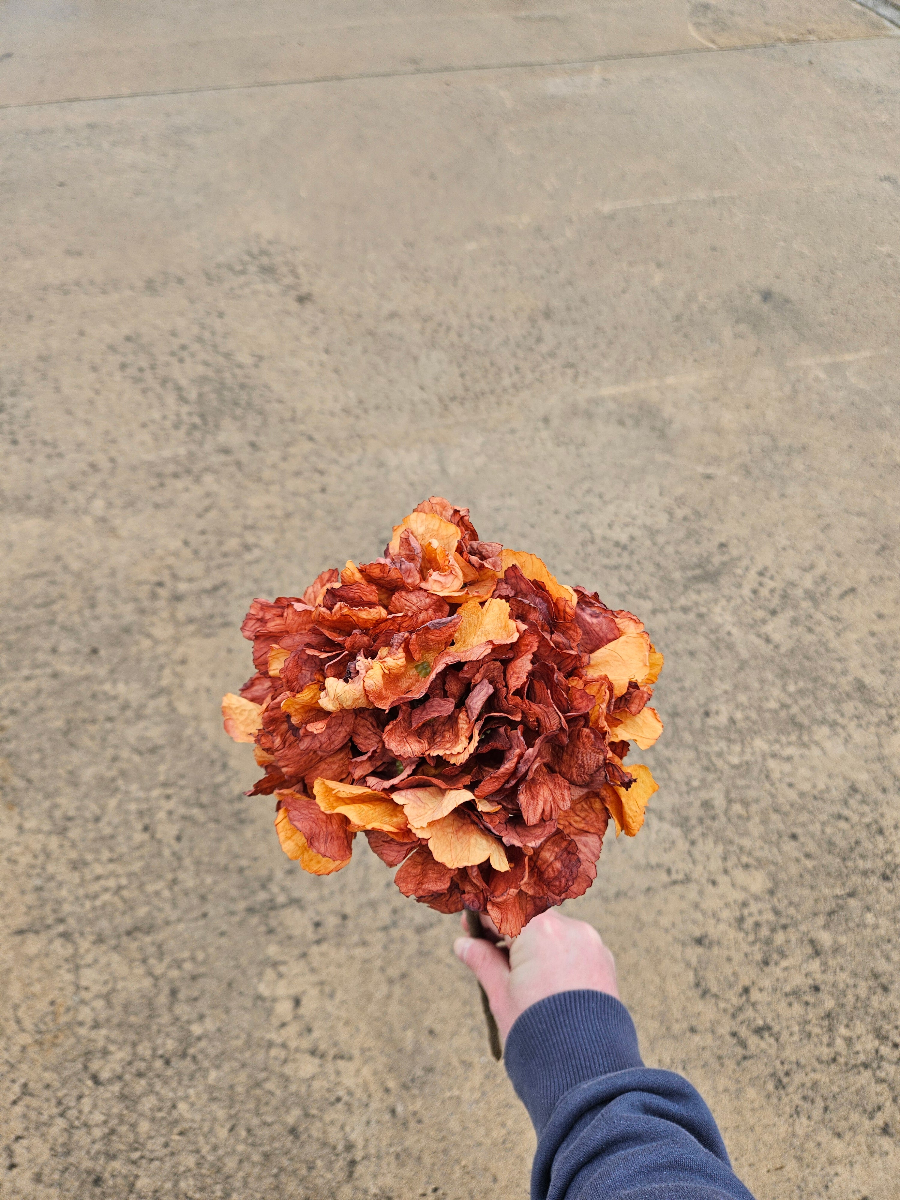 Burnt Orange Dry Touch Hydrangea