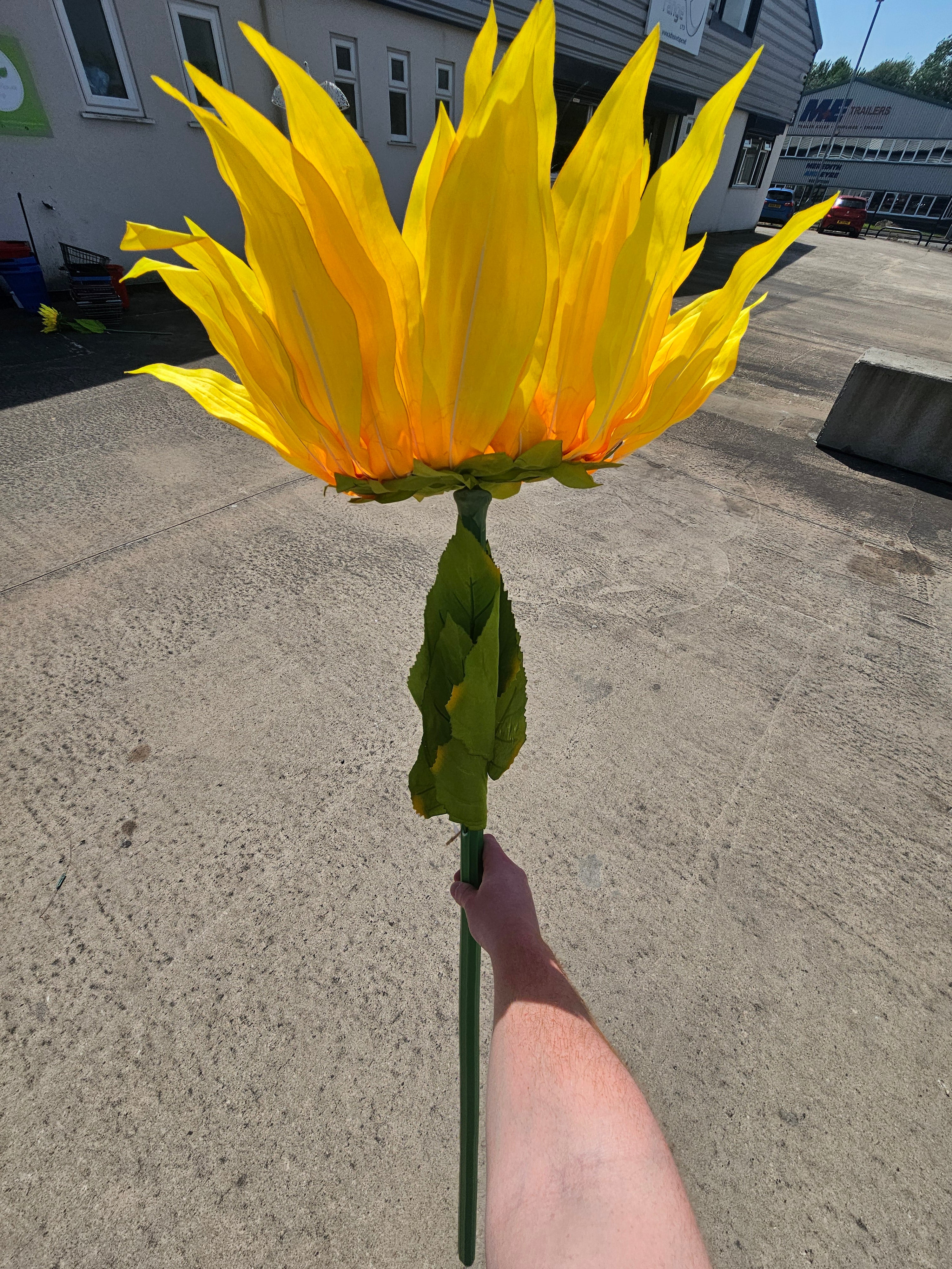 Giant XL Sunflower