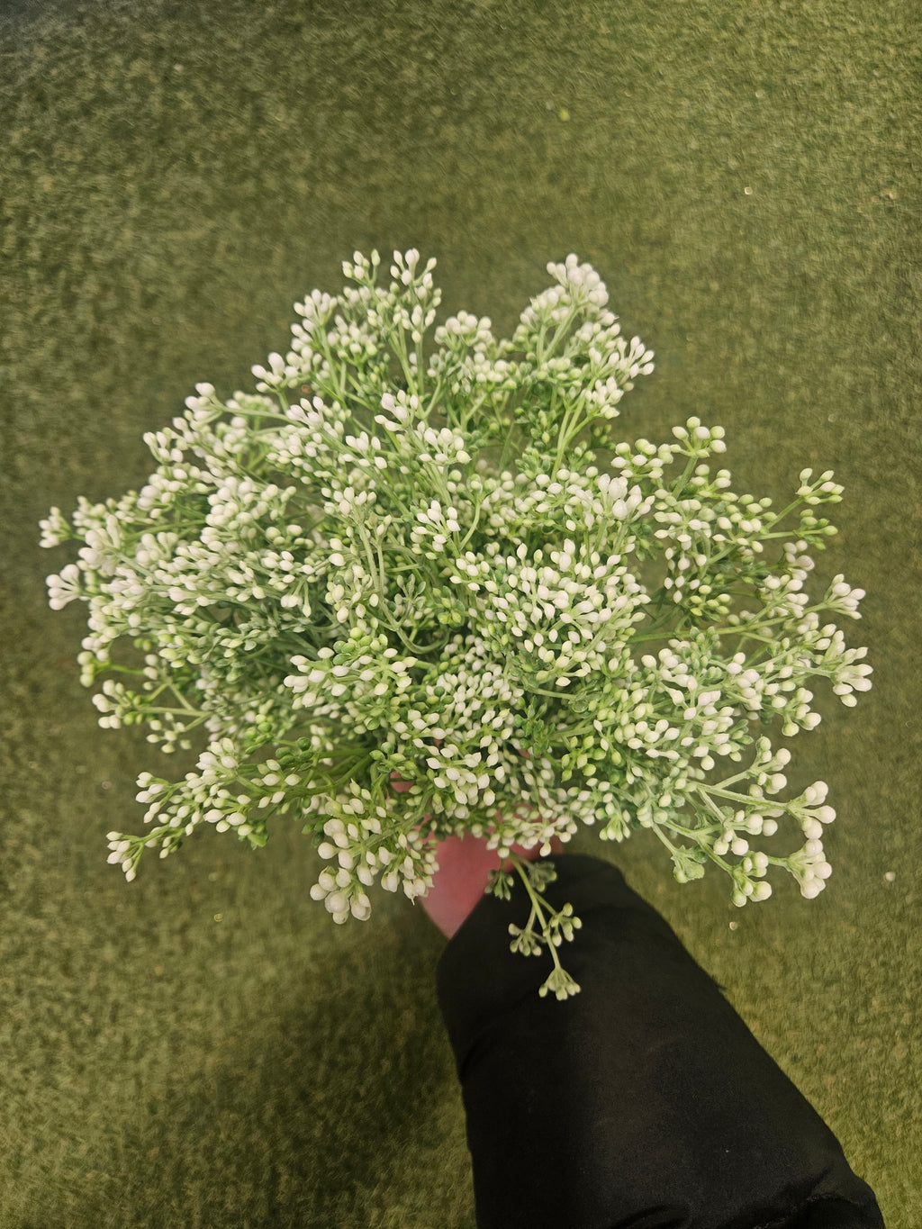 Berry Stem Bunch (10 Stems)