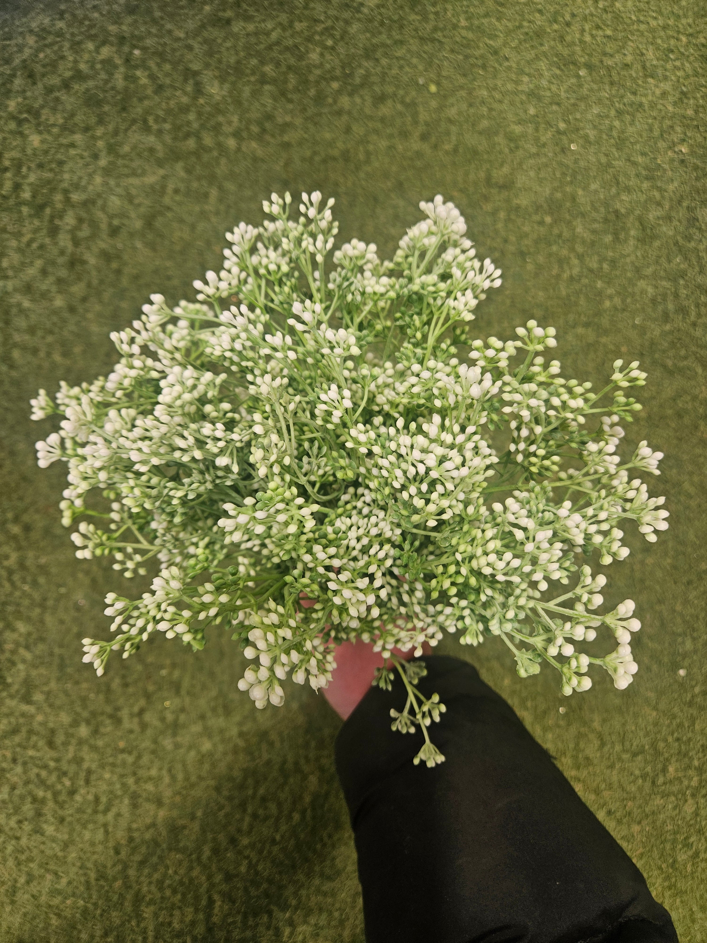 Berry Stem Bunch (10 Stems)