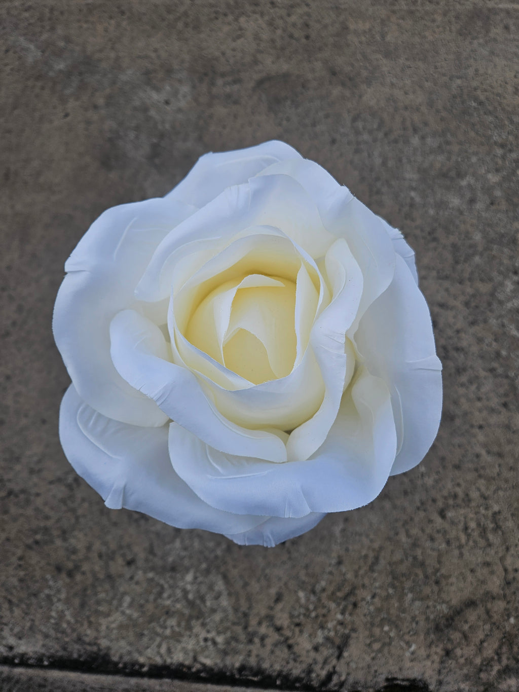 Giant Large Ivory Rose (Stand Not Included)