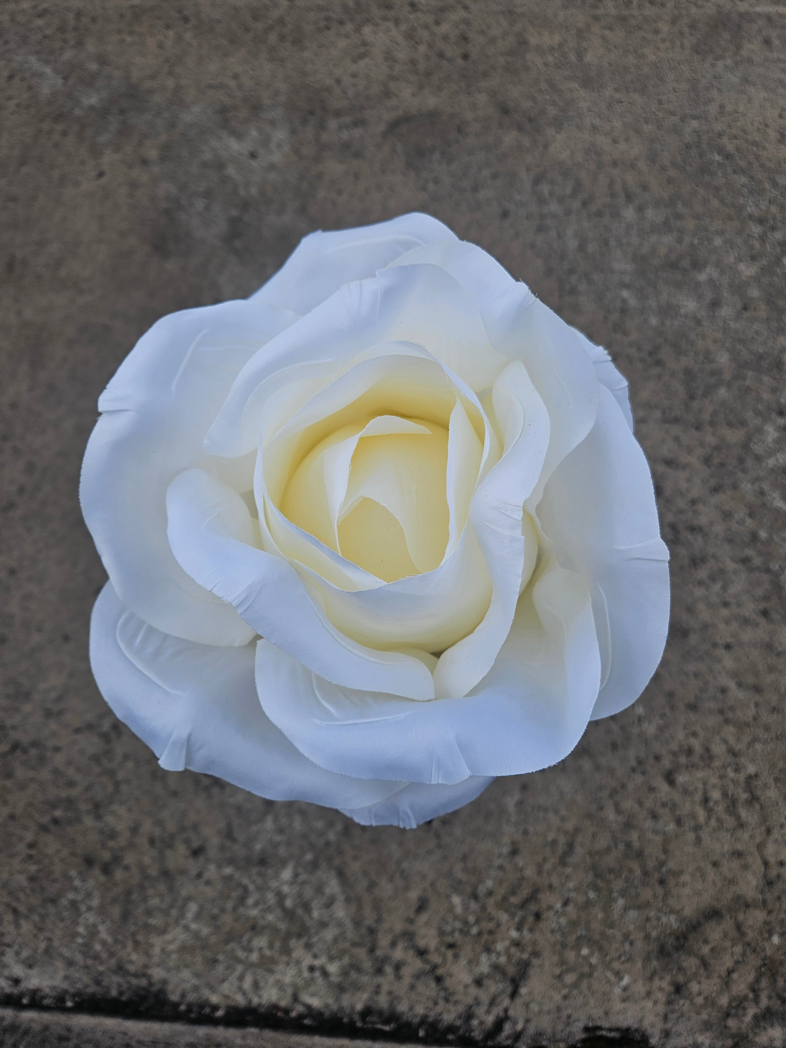 Giant Large Ivory Rose (Stand Not Included)