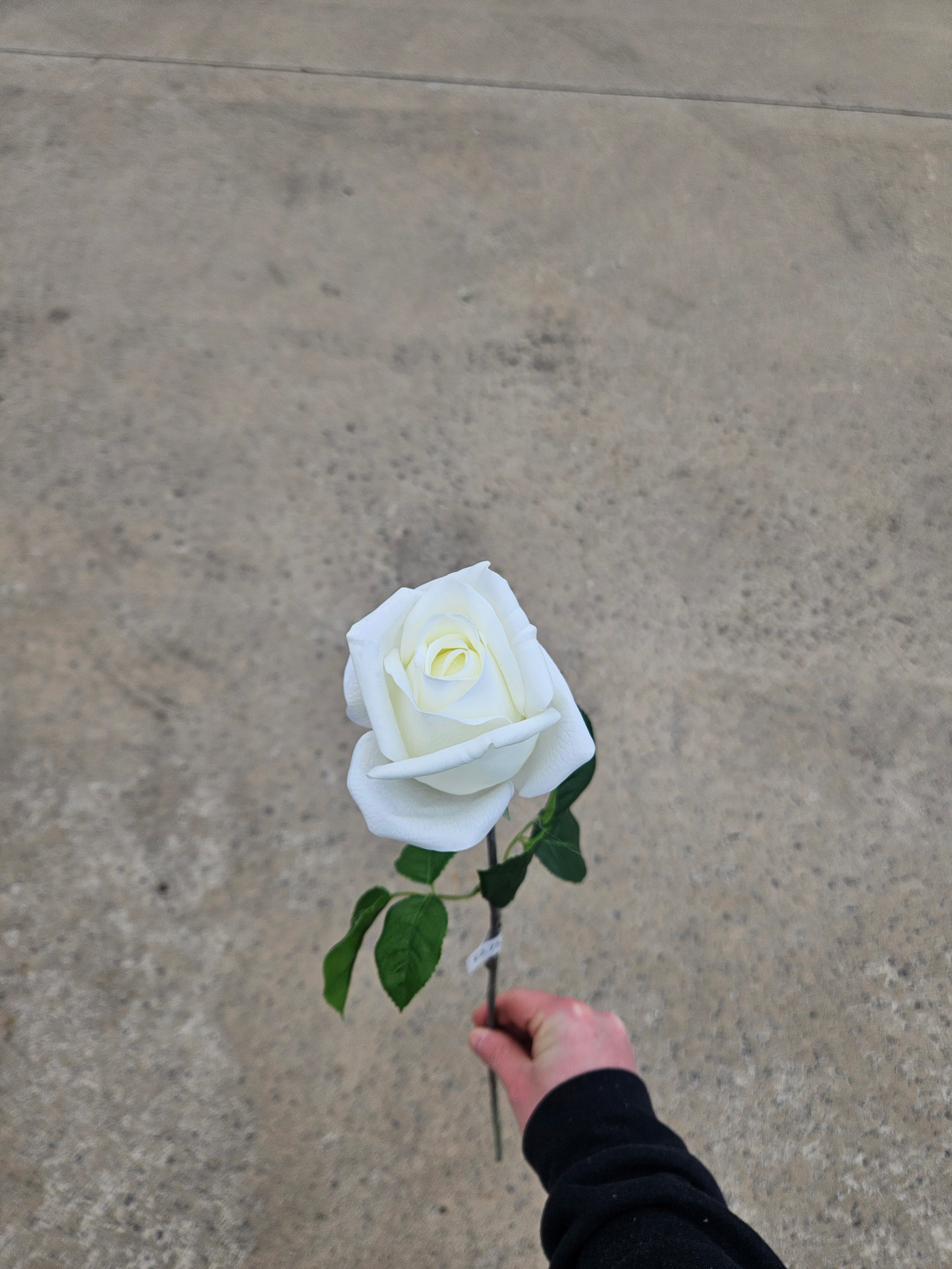 Ivory Real Feel Rose