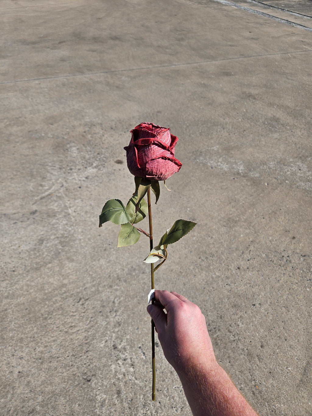 Burgundy Dry Touch Rose