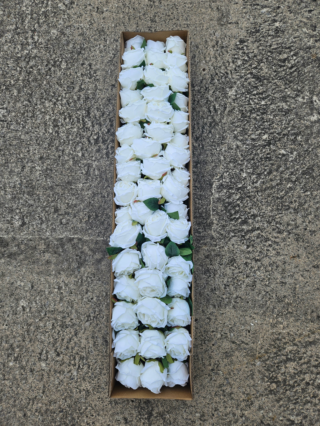 48 Ivory Globe Roses (£40 Saving + Free Delivery)