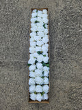 48 Ivory Globe Roses (£40 Saving + Free Delivery)