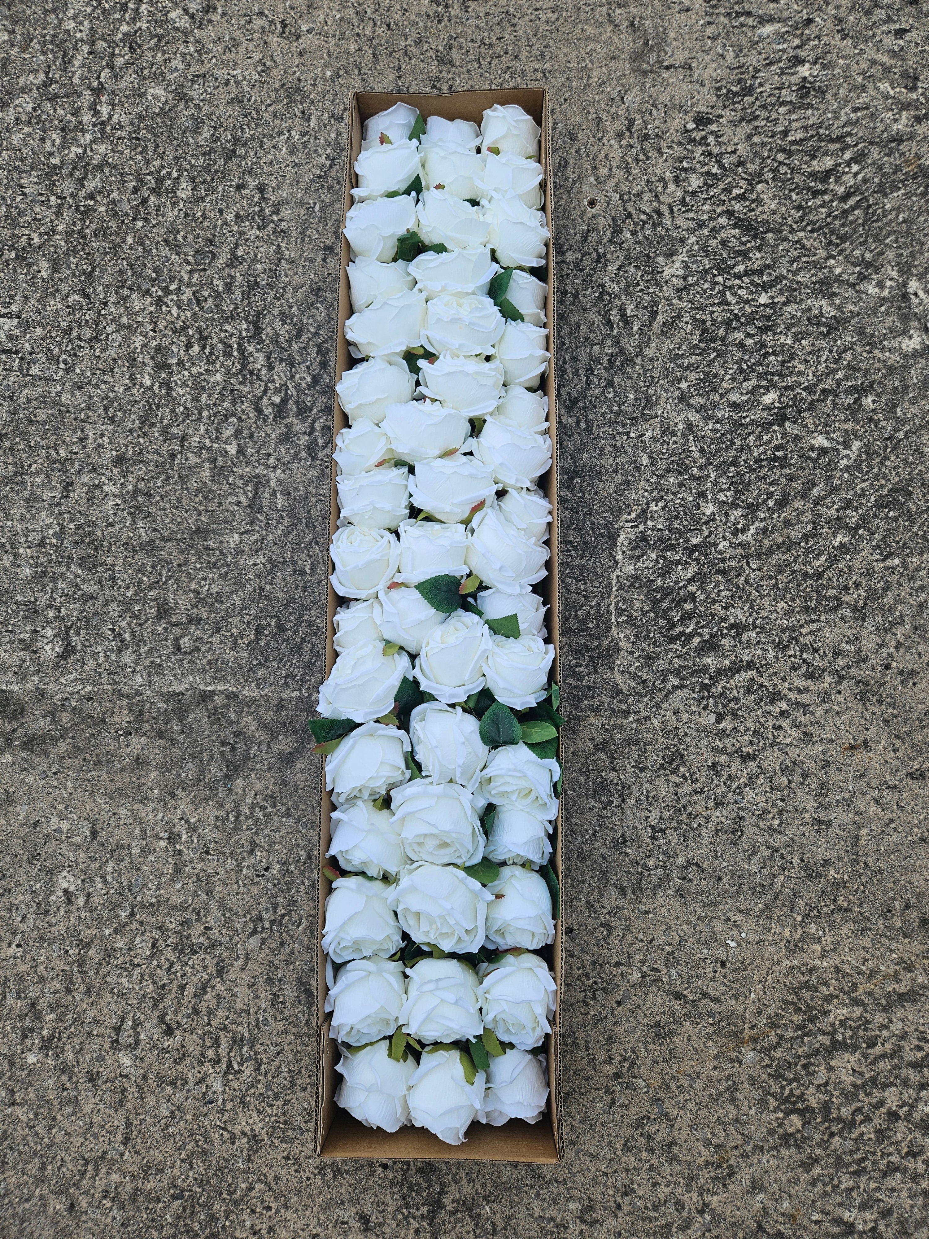 48 Ivory Globe Roses (£40 Saving + Free Delivery)