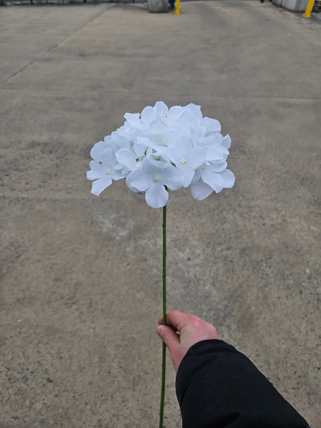 36 White Thin Stem Hydrangeas (£10 Saving)