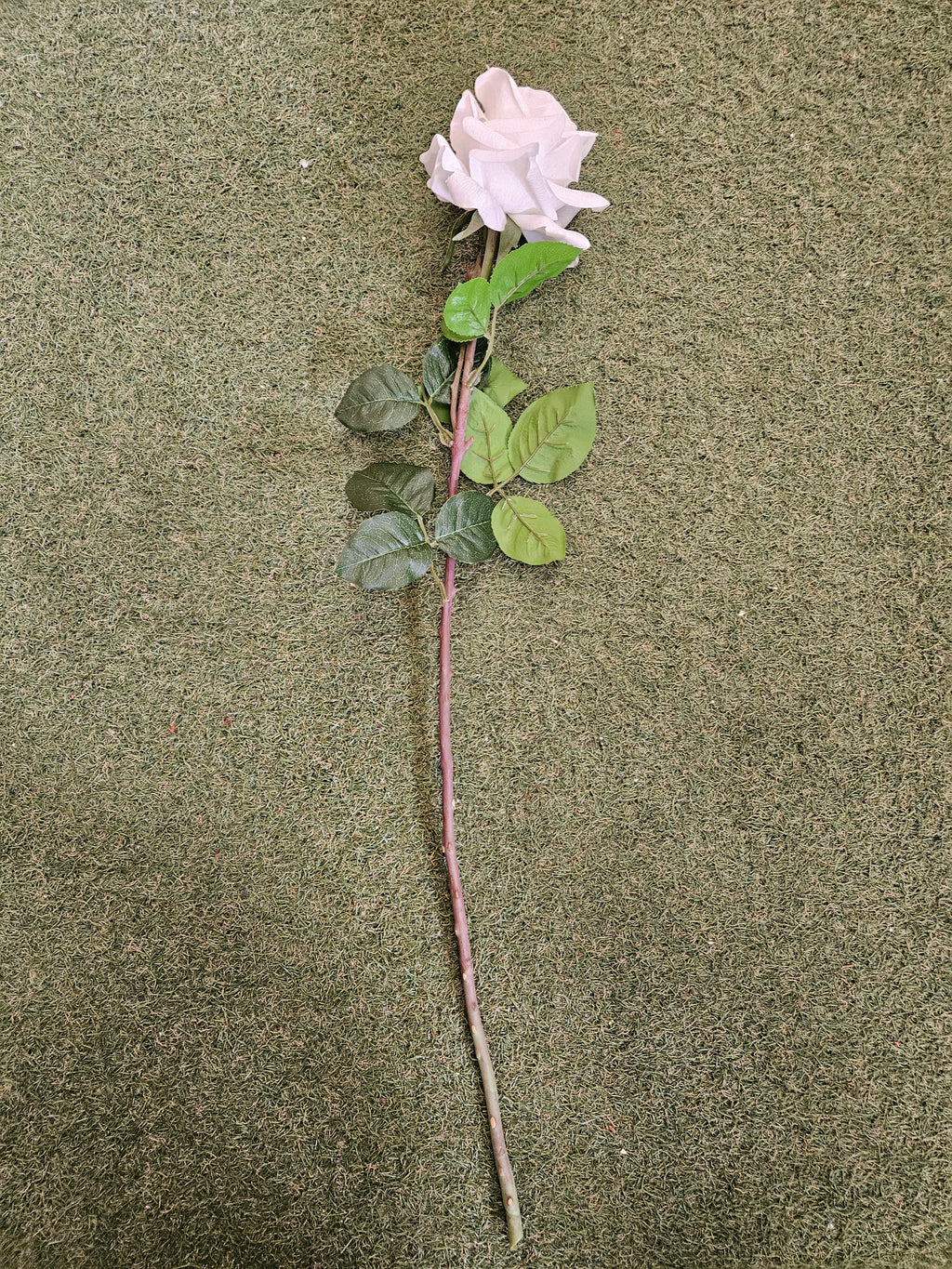 Real Touch White Rose