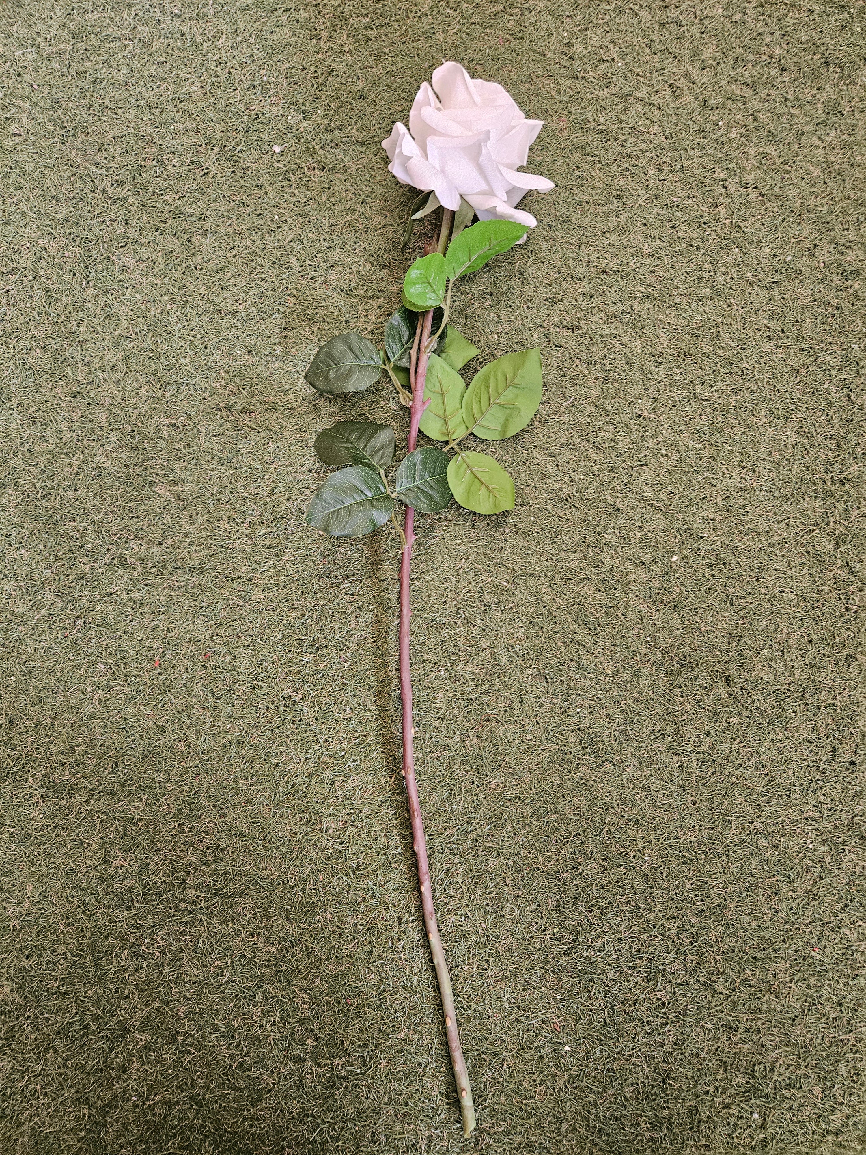 Real Touch White Rose