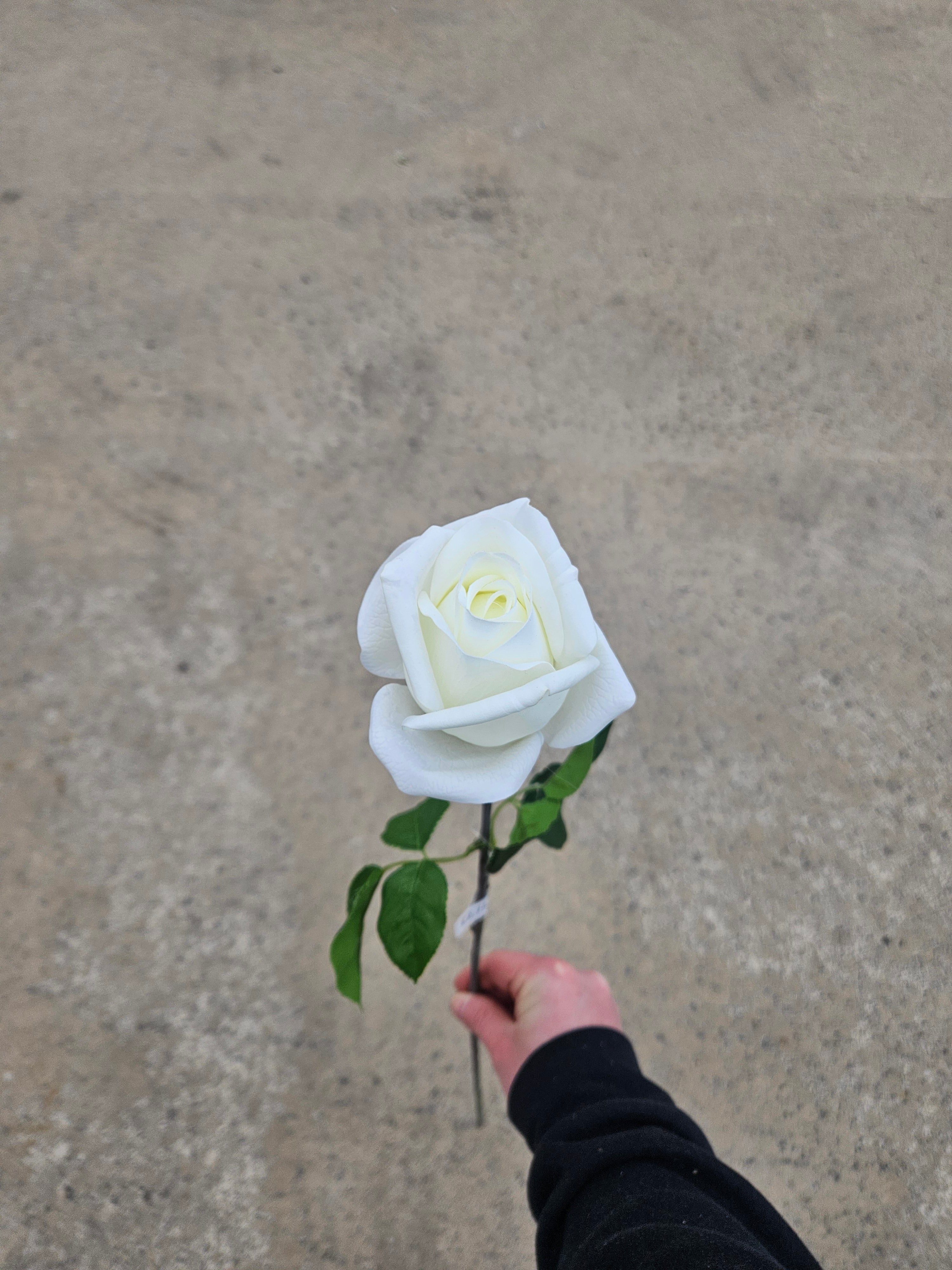 Ivory Real Feel Rose
