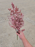 Autumn Dusky Pink Eucalyptus Bunch
