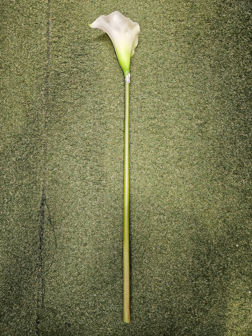 Real Feel Thick Stem Calla Lily