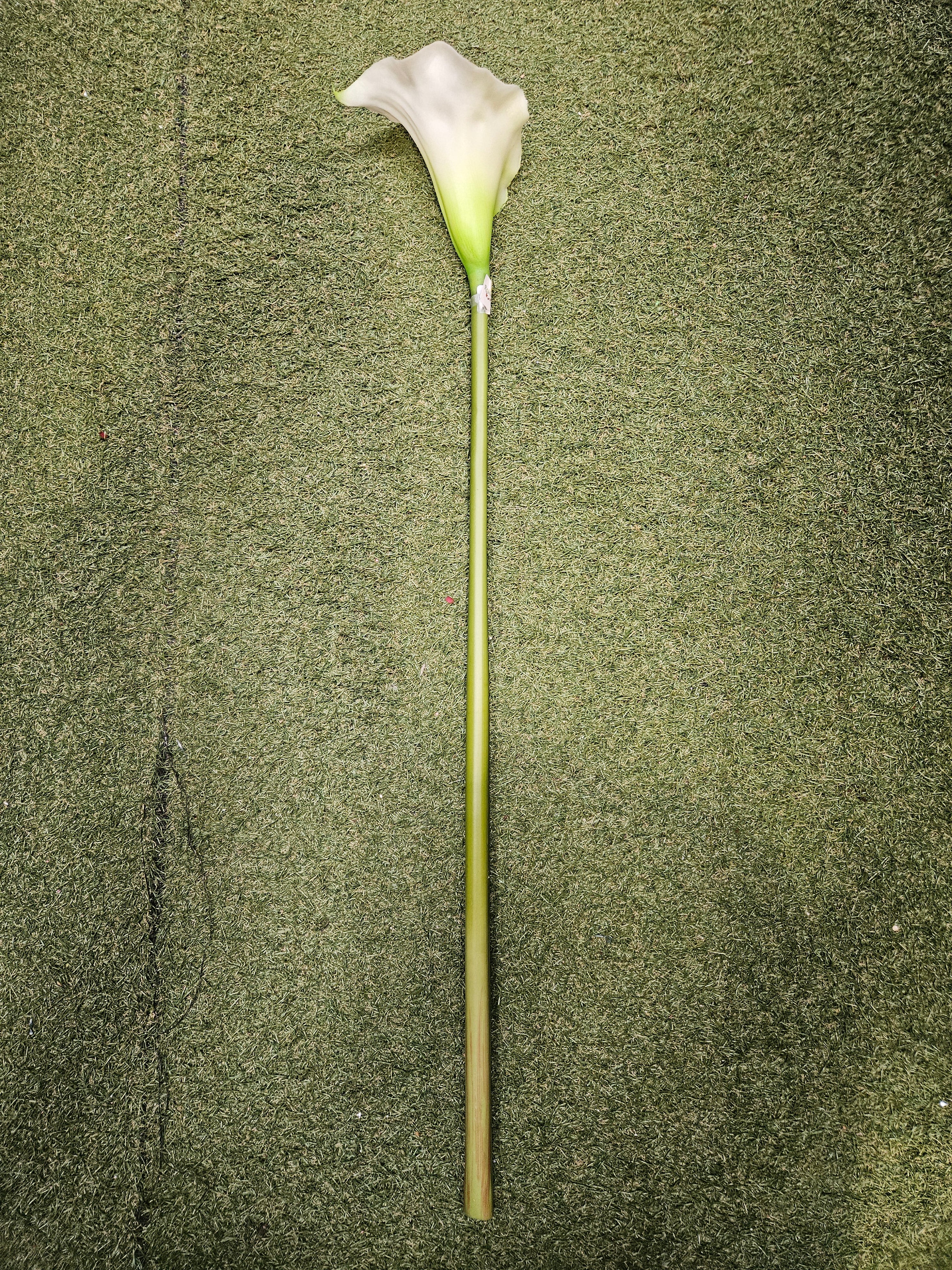Real Feel Thick Stem Calla Lily