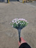 Pink Gypsophilia Bunch (10 Stems)