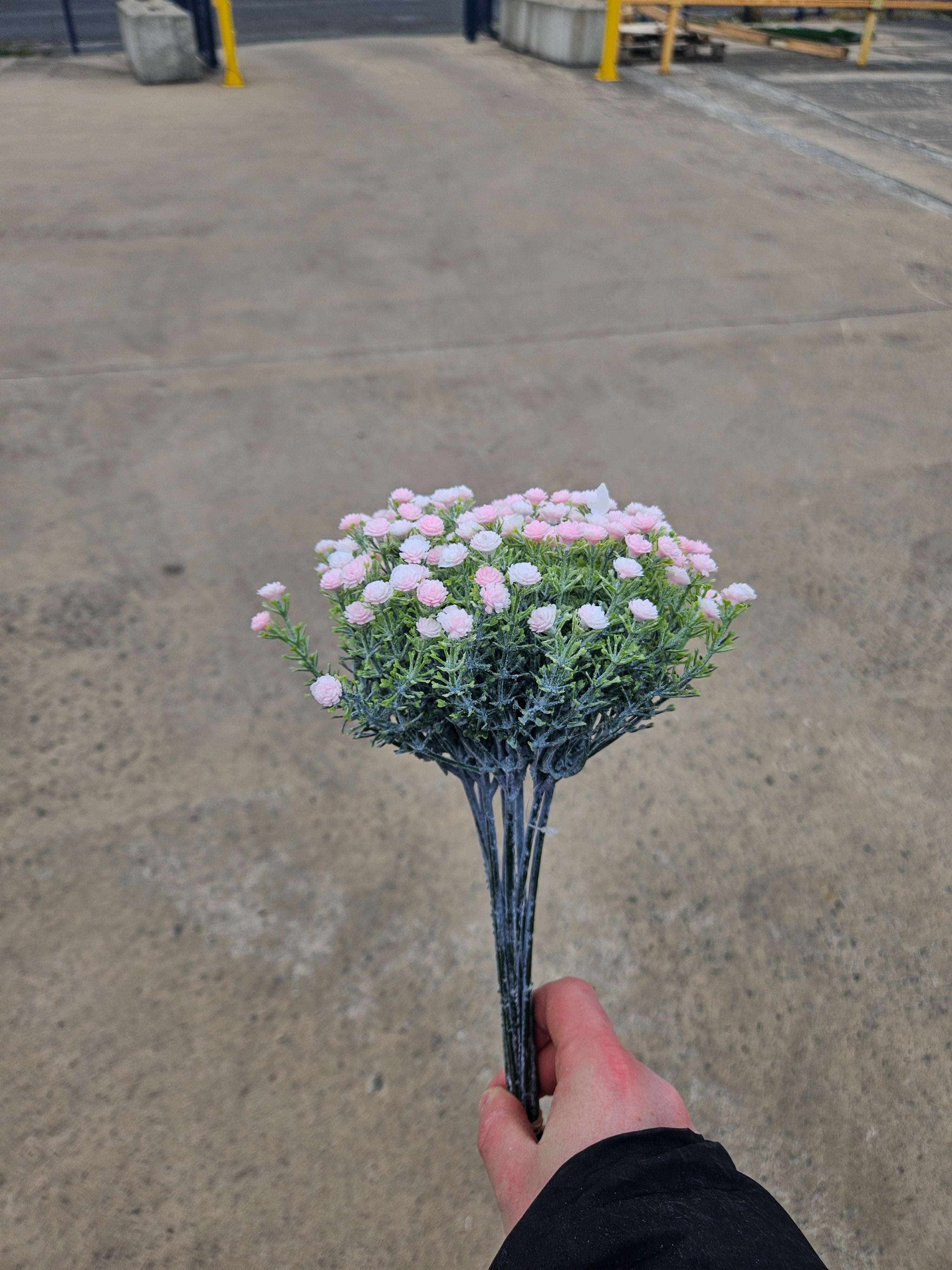 Pink Gypsophilia Bunch (10 Stems)