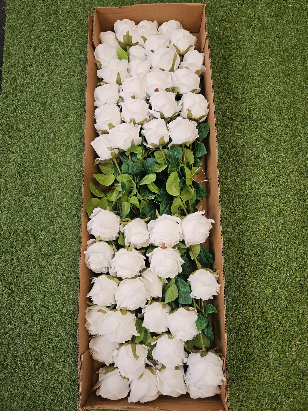 Box of 48 Harper Roses (White)