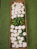 Box of 48 Harper Roses (White)
