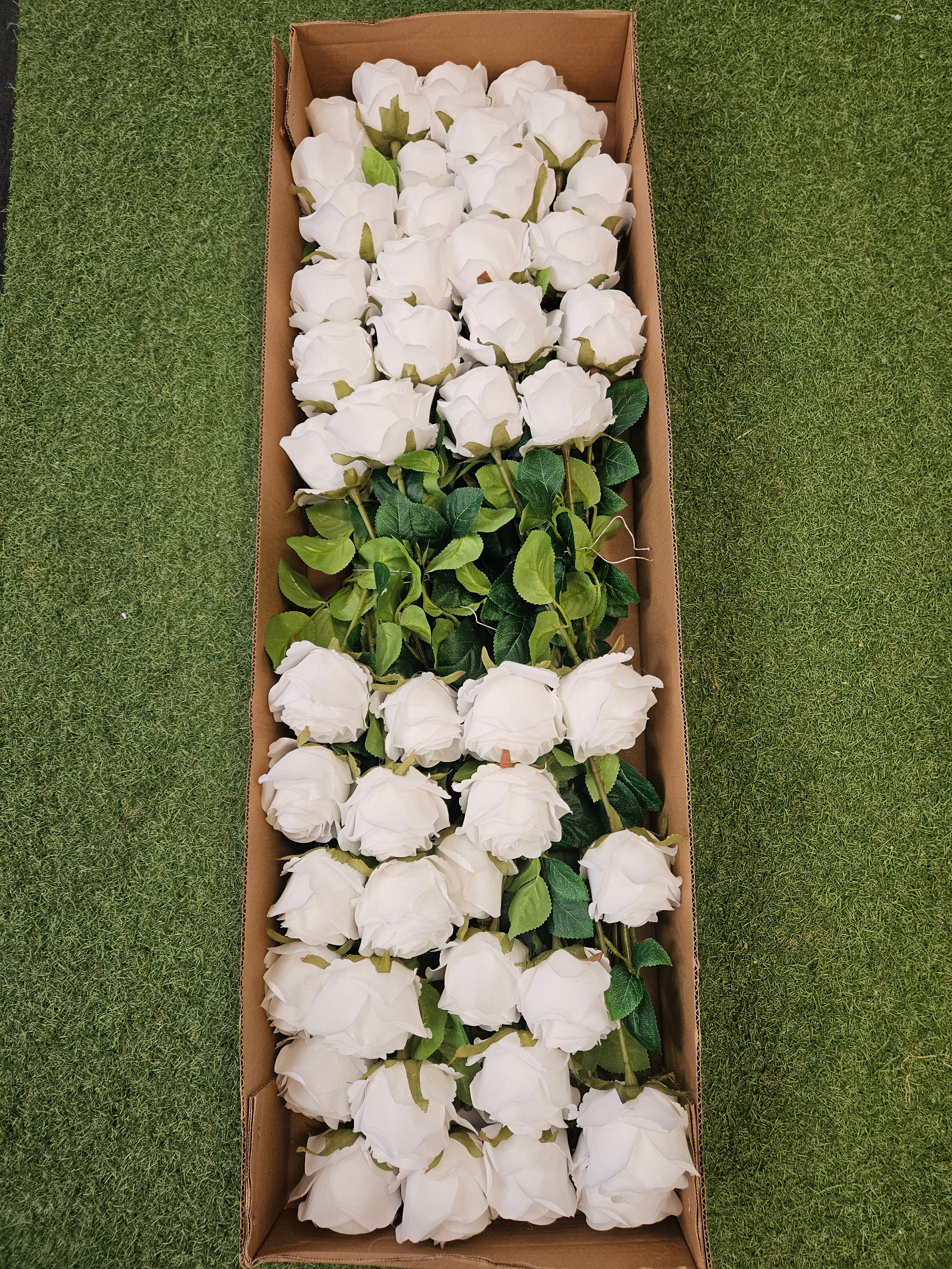 Box of 48 Harper Roses (White)