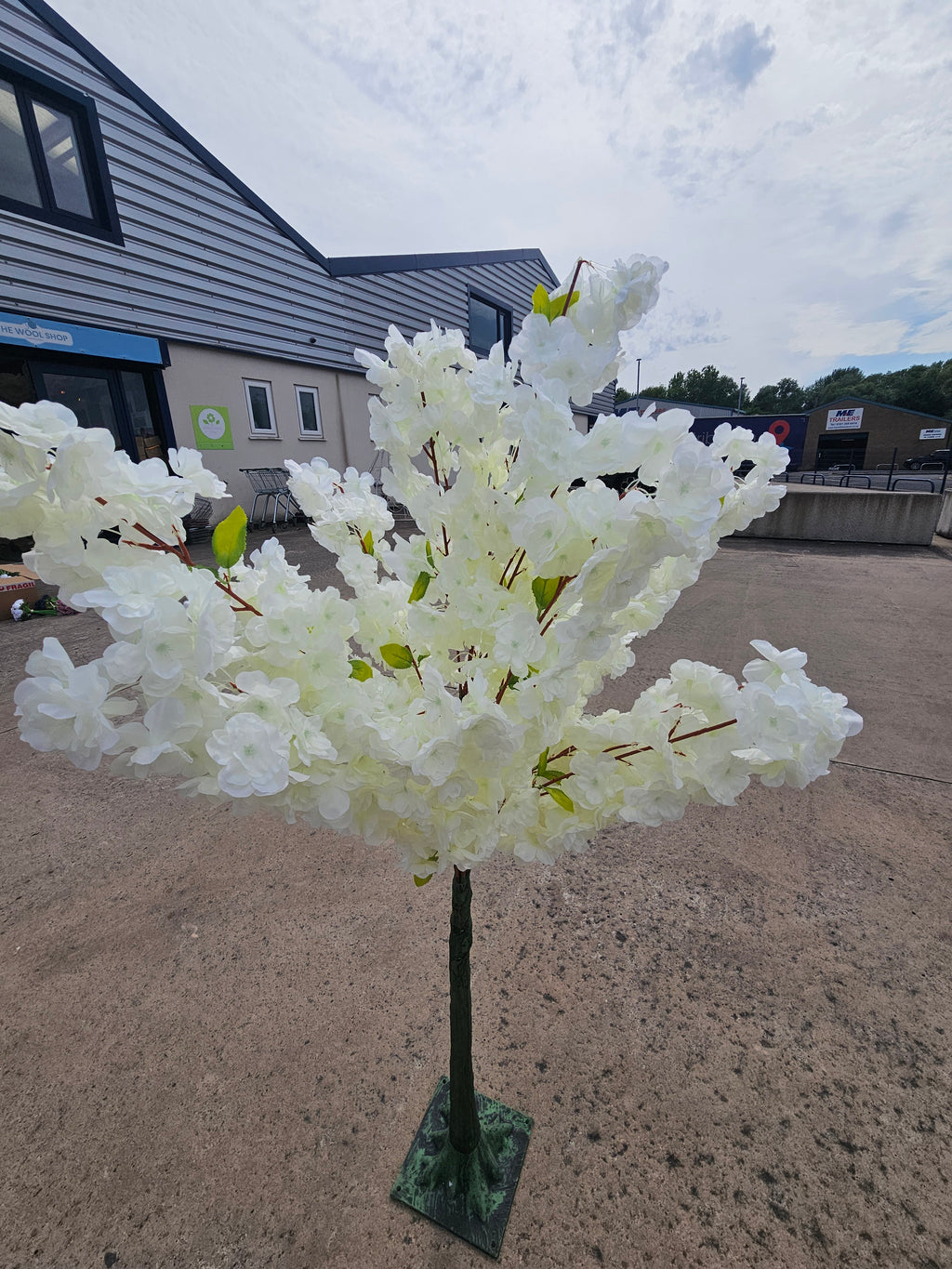 Ivory Tabletop Blossom Tree