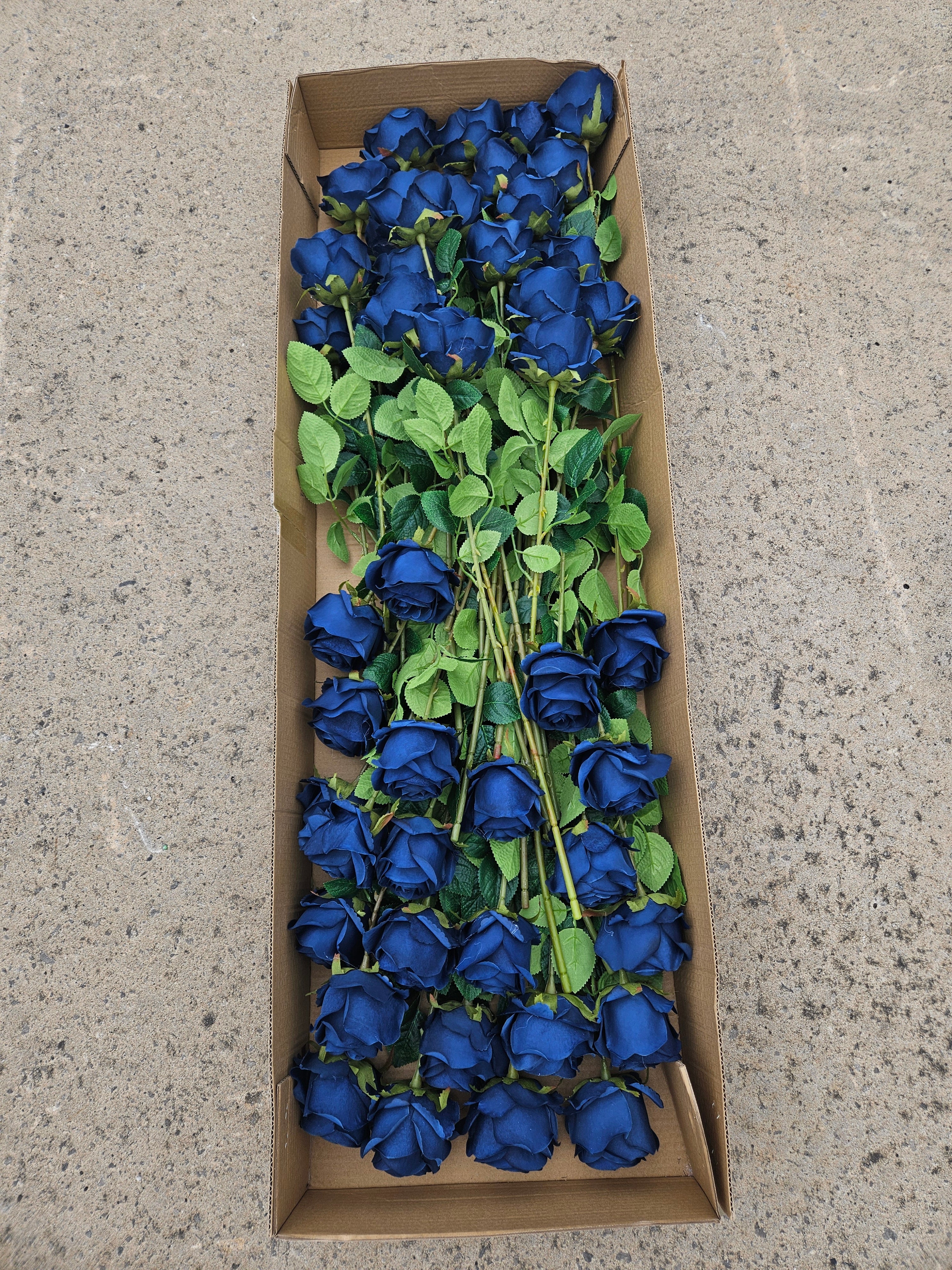48 Navy Harper Roses