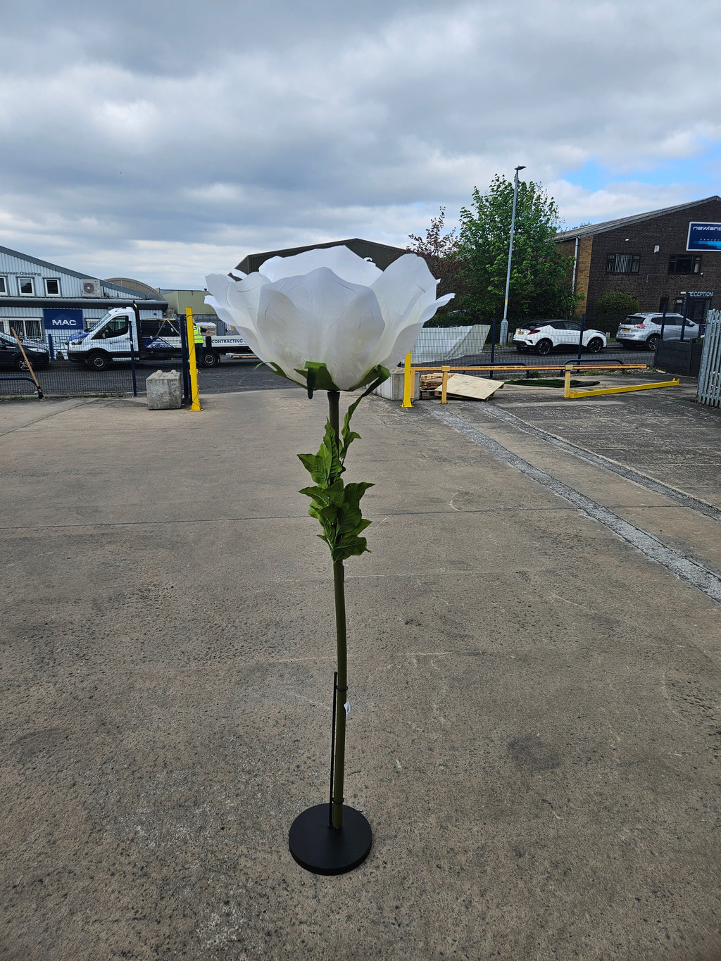 Giant XXL Ivory Rose (Stand Not Included)