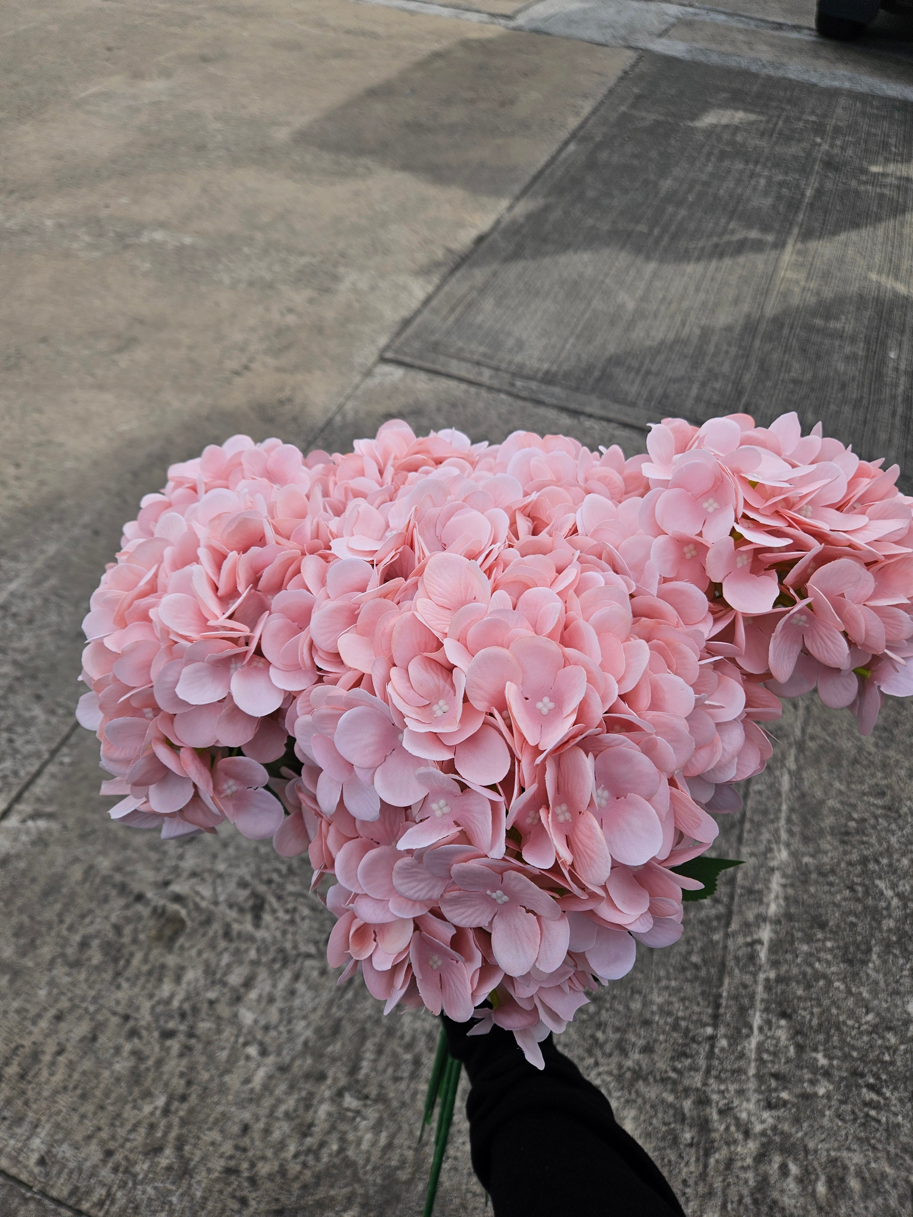 10x Peachy Pink Hydrangea Stems