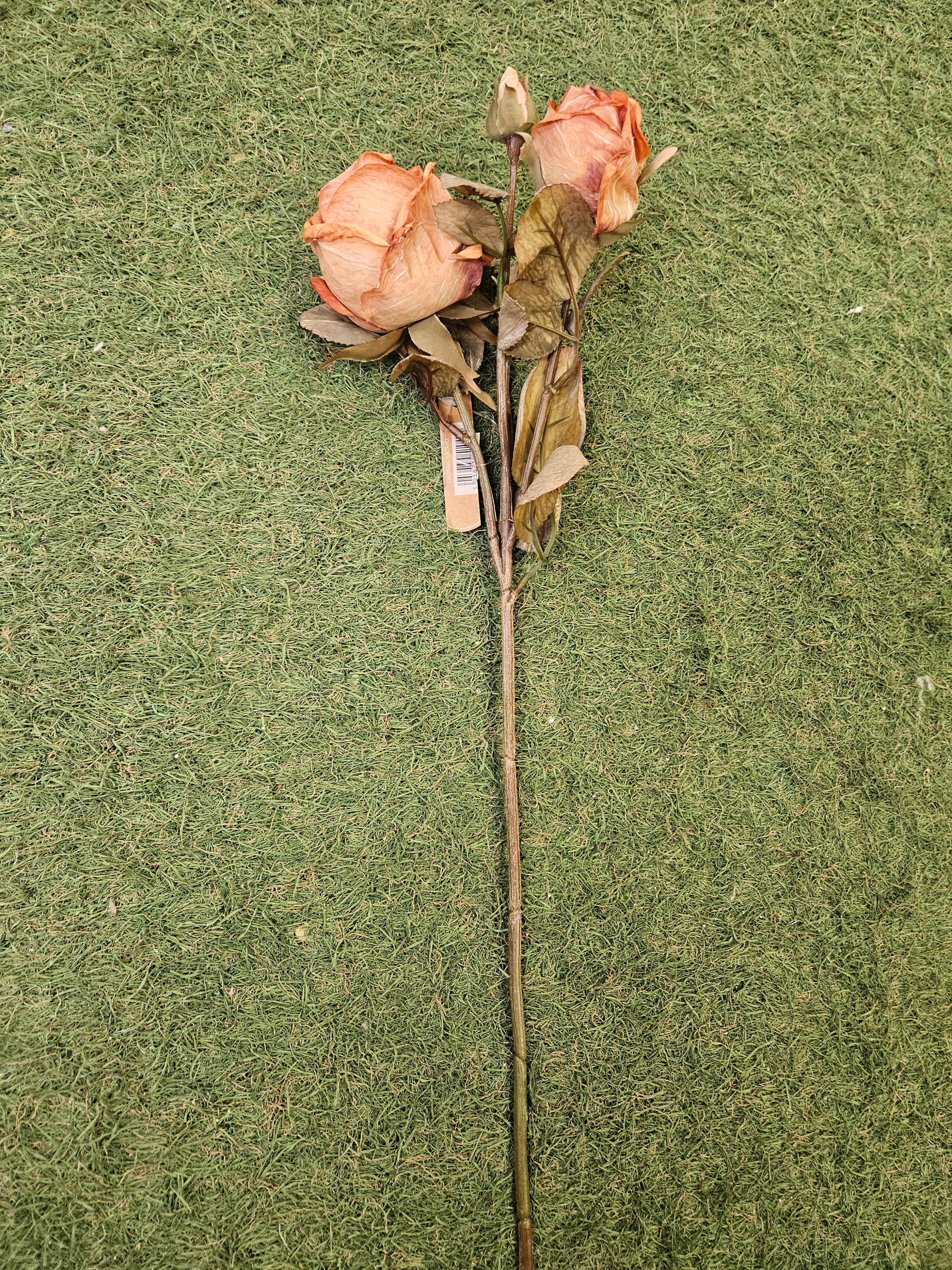 Dry Touch Burnt Orange Rose Stem